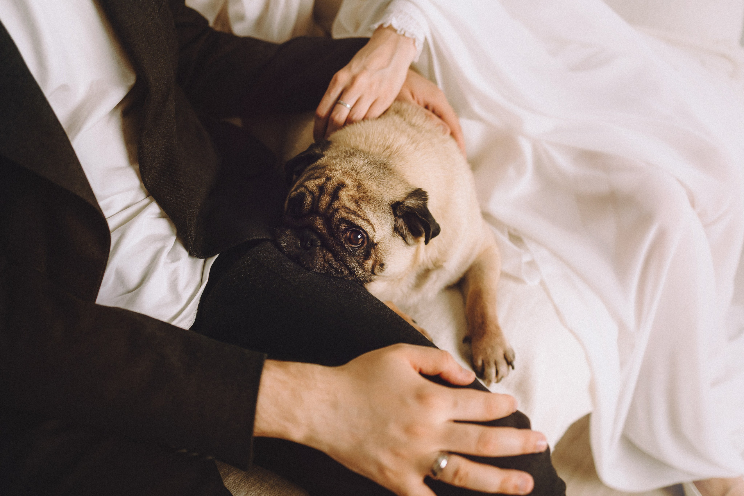 Денис, Василина, Гаврюша и Кнопка