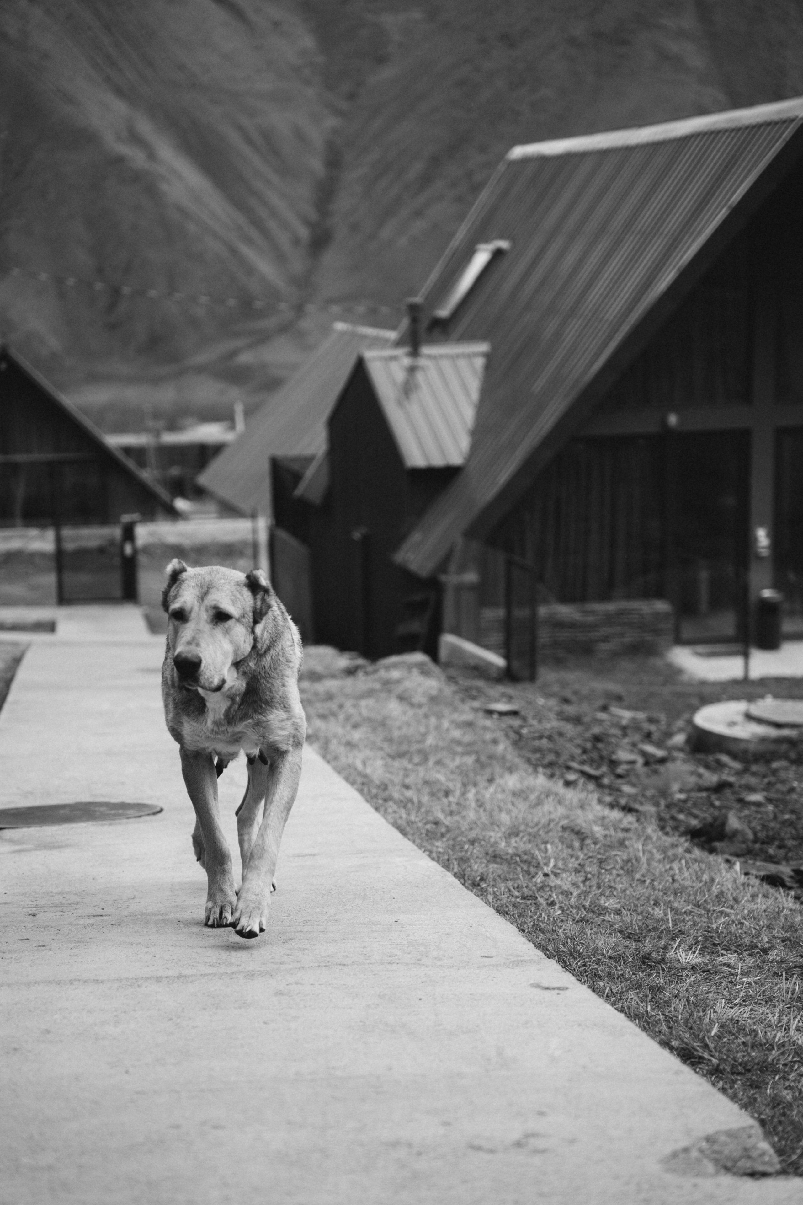 Казбеги. Семейный и портретный фотограф в Саратове Сахарова Маша