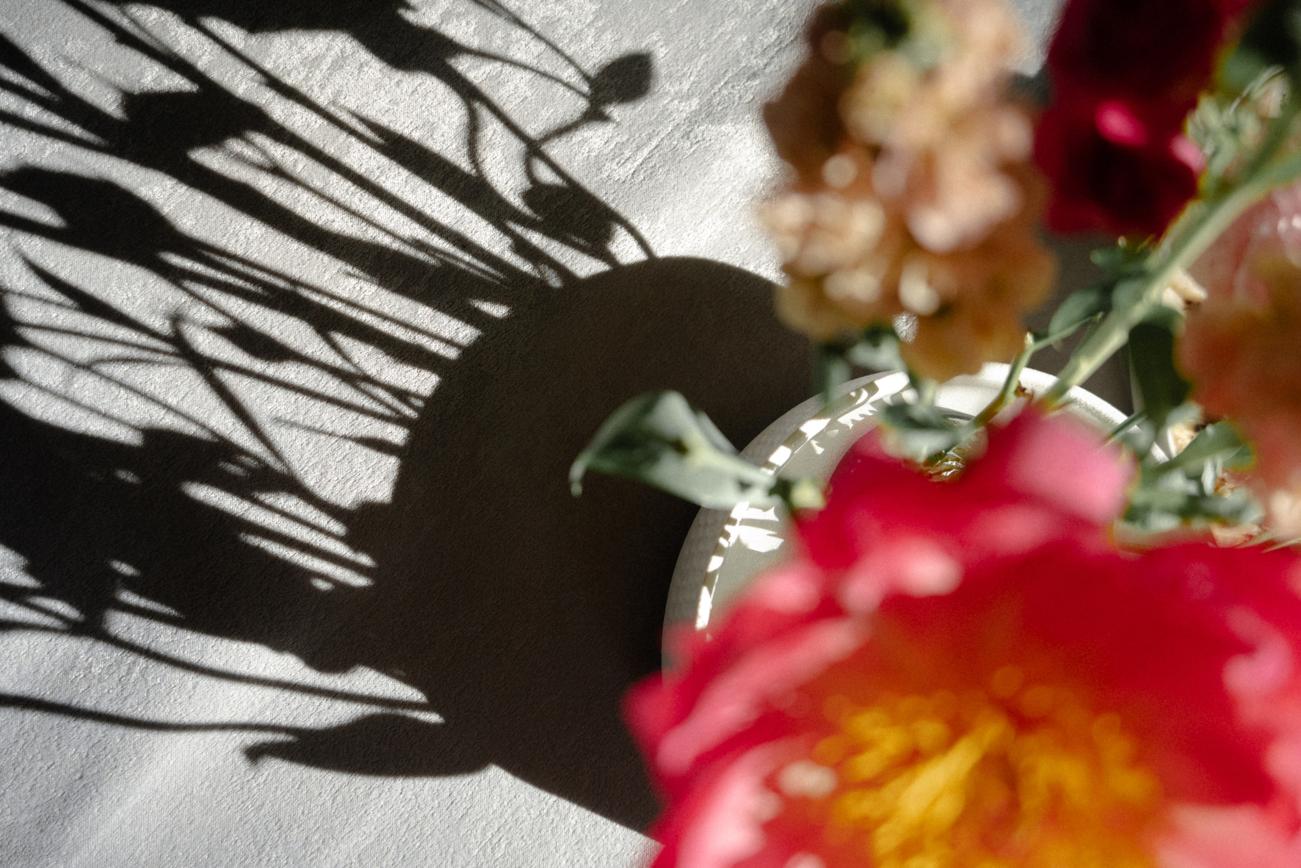 Алена и Илья. Анонс. Семейный и портретный фотограф в Саратове Сахарова Маша