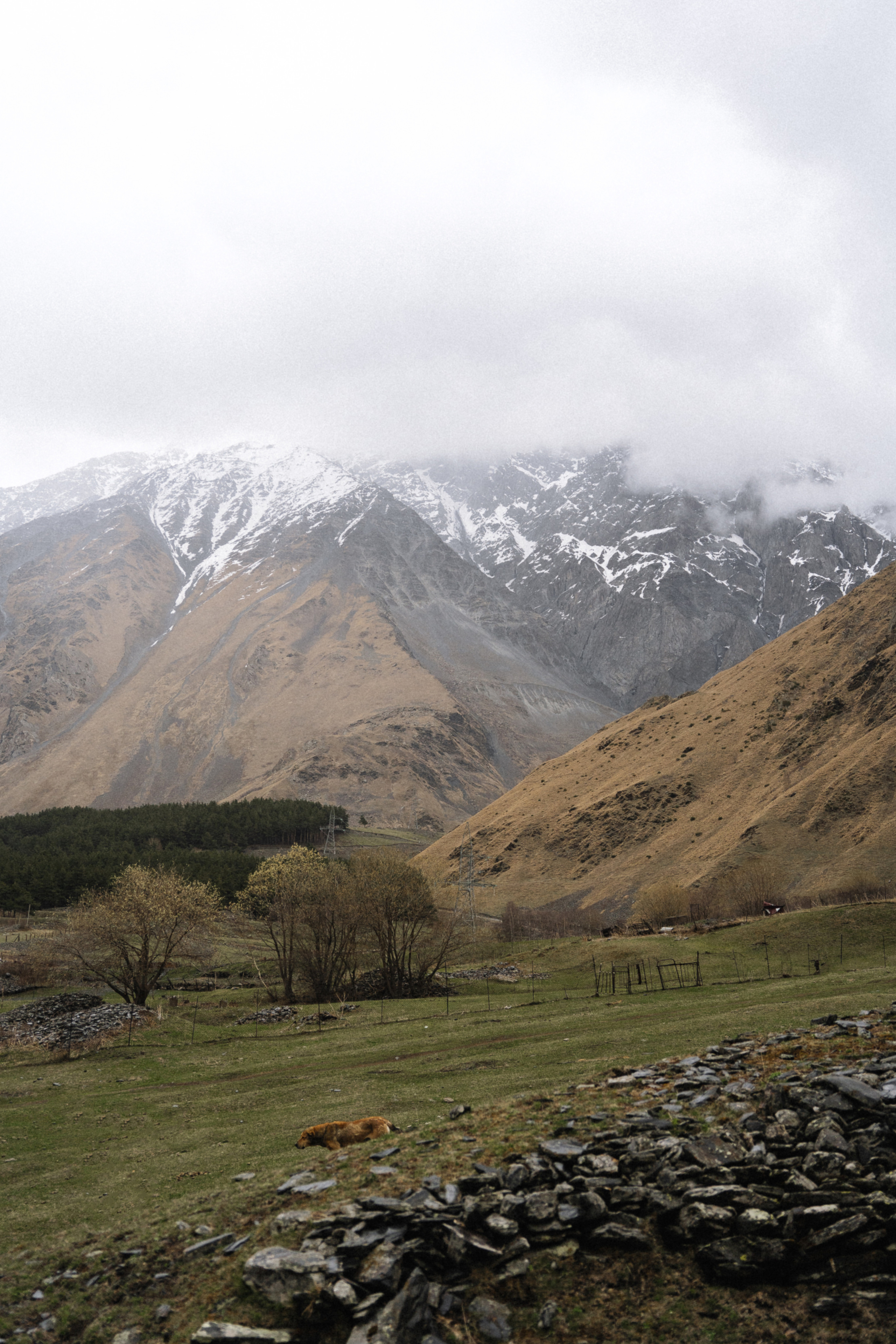 Казбеги. Семейный и портретный фотограф в Саратове Сахарова Маша