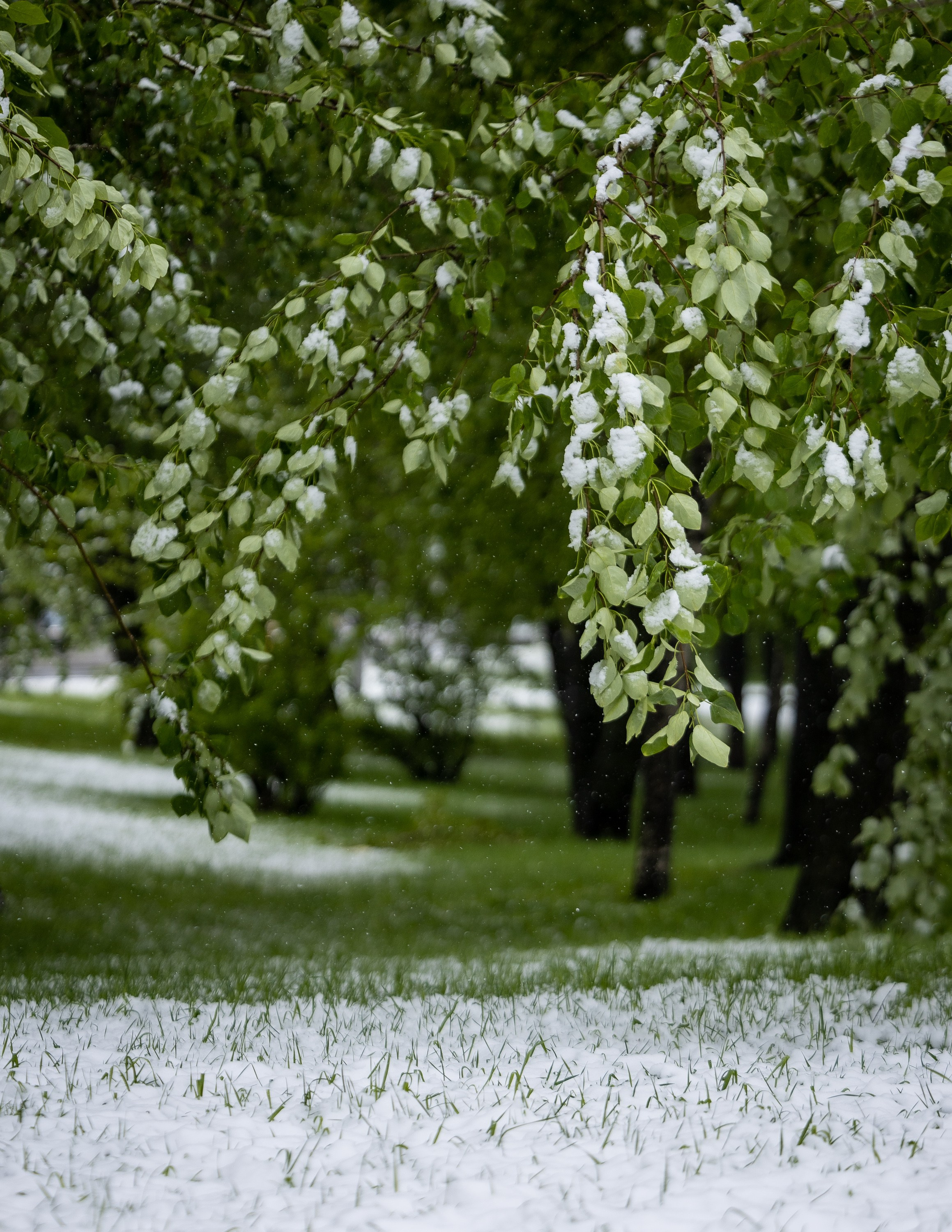 Городской пейзаж. Фотограф Владимир Охрименко