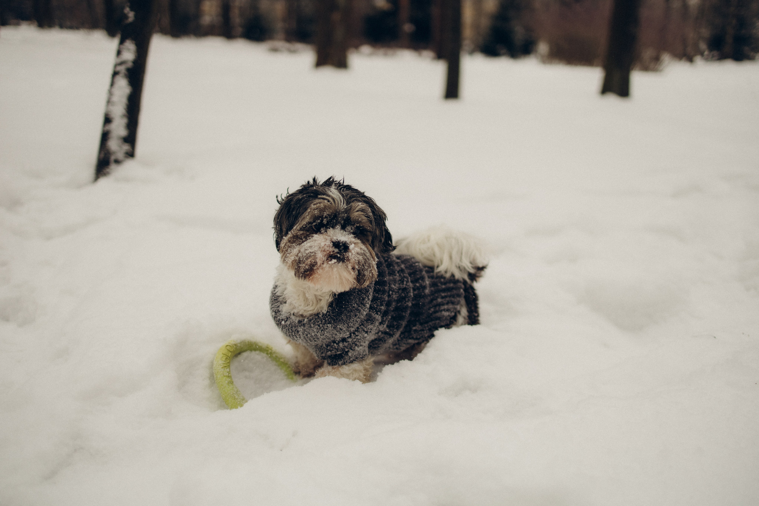 Эля & Серёжа. Ирина Владимирова | Фотограф Санкт-Петербург