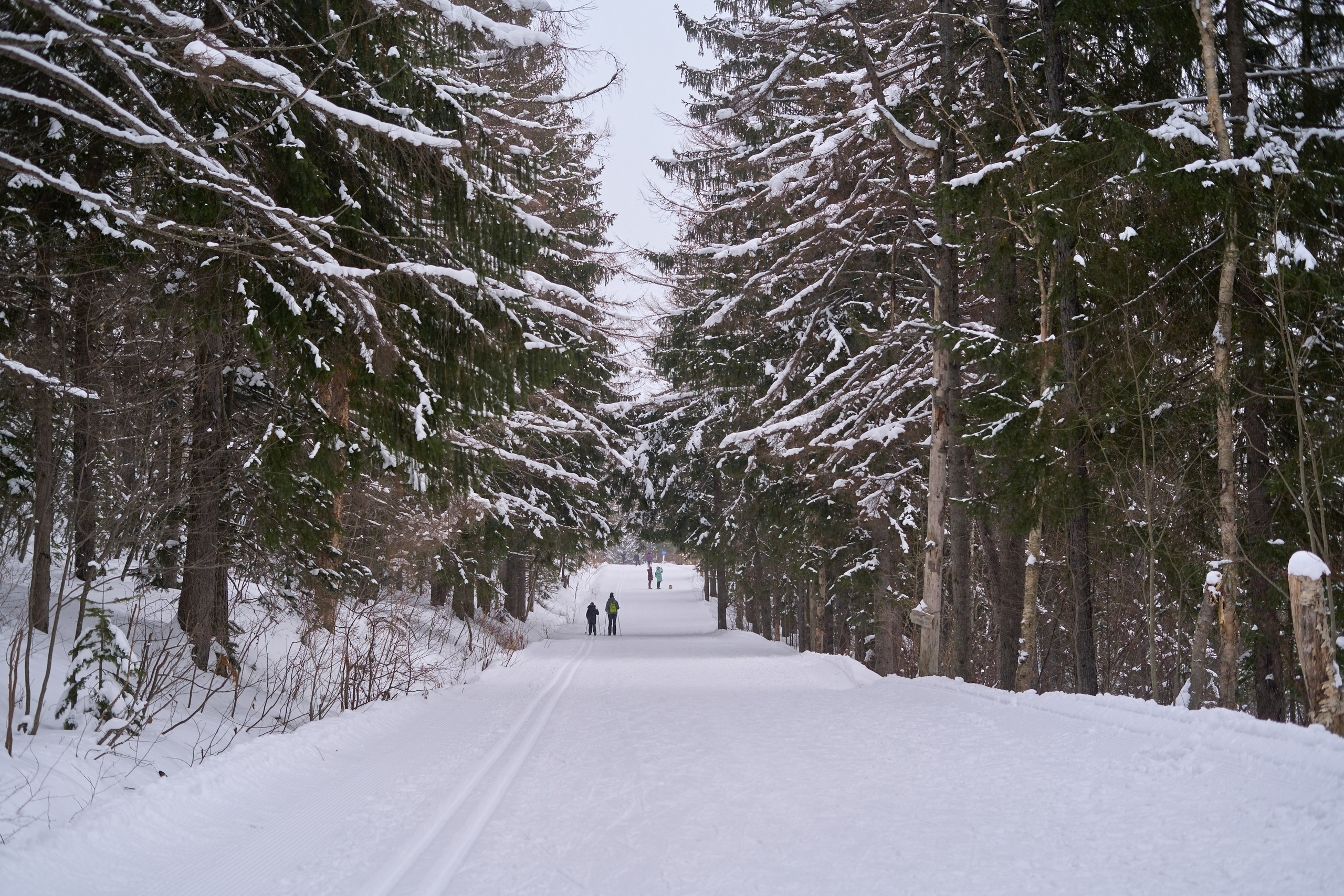 Природа. Фотограф Екатерина Зорина