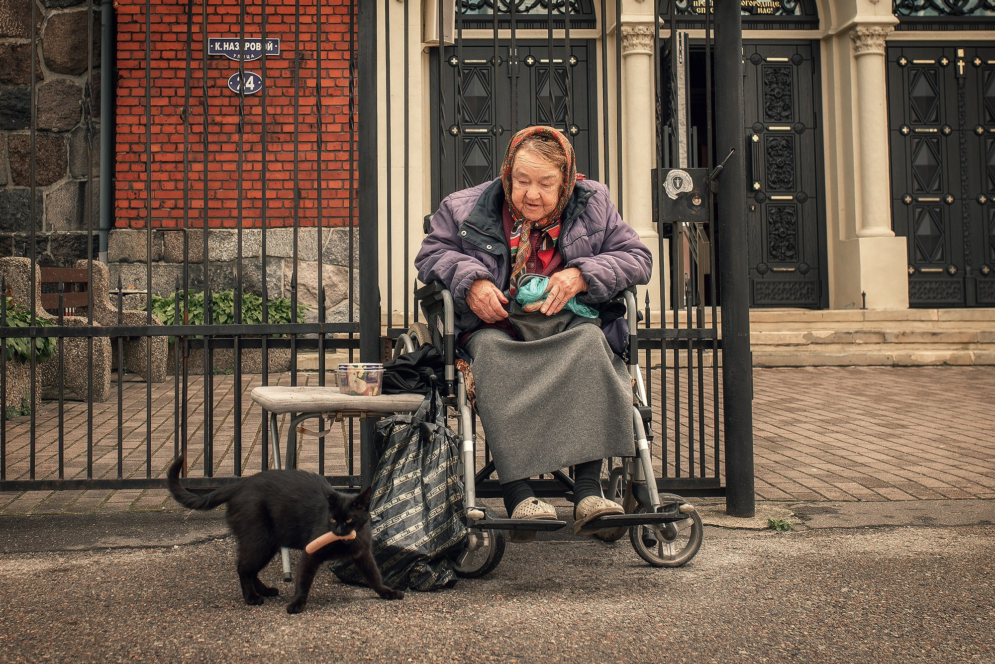 Бабушка и кот. Женский фотограф Крещение Венчание Москва Брянск