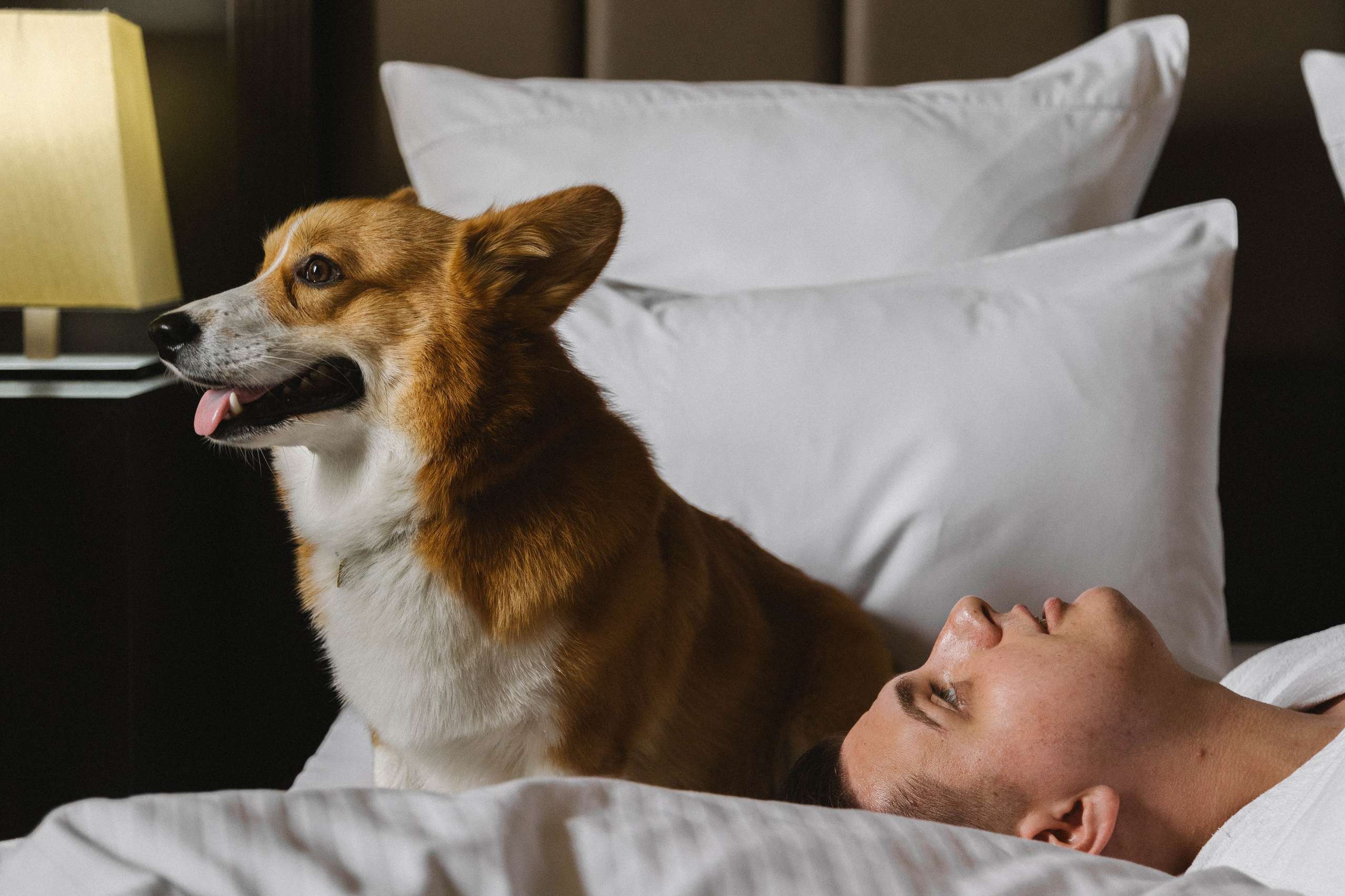 Даниил & Евгения. Свадебный фотограф ростов