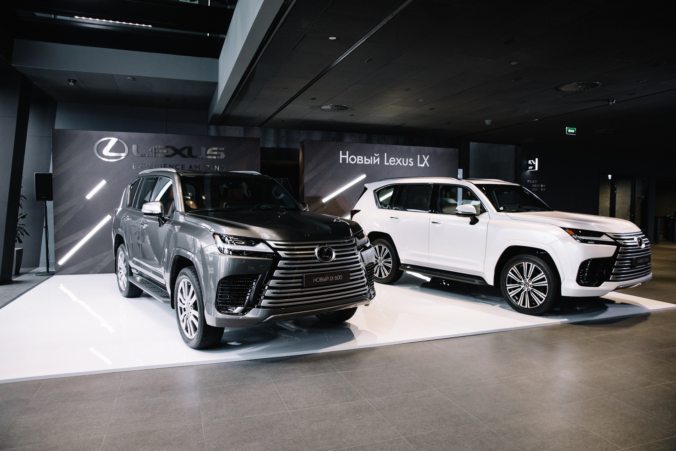 Toyota & Lexus (Skolkovo Conference). Nadezhdin Studio