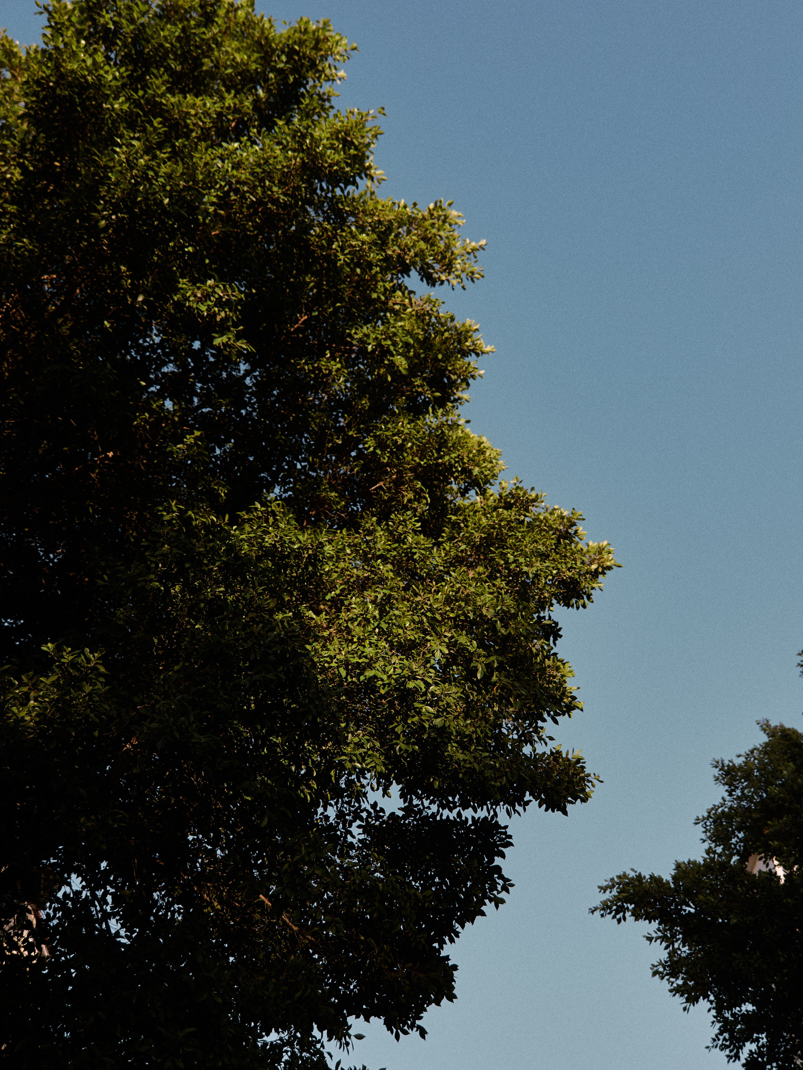 Природа. Jorgis Talè — photographer, kind person, teacher of arts and other mag