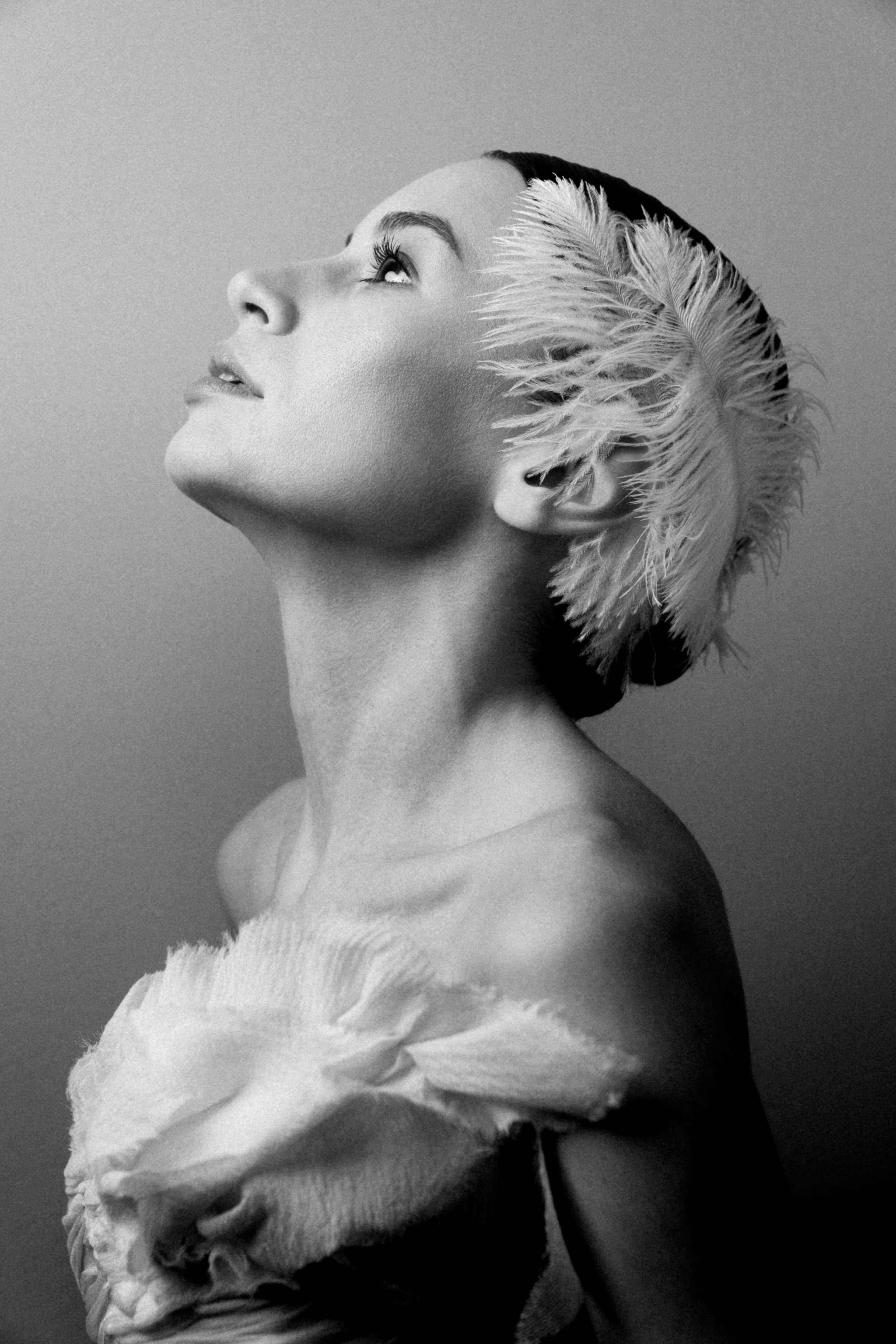 Андромеда. ANNA RAFI — Ателье Краснодарский край, Новороссийск