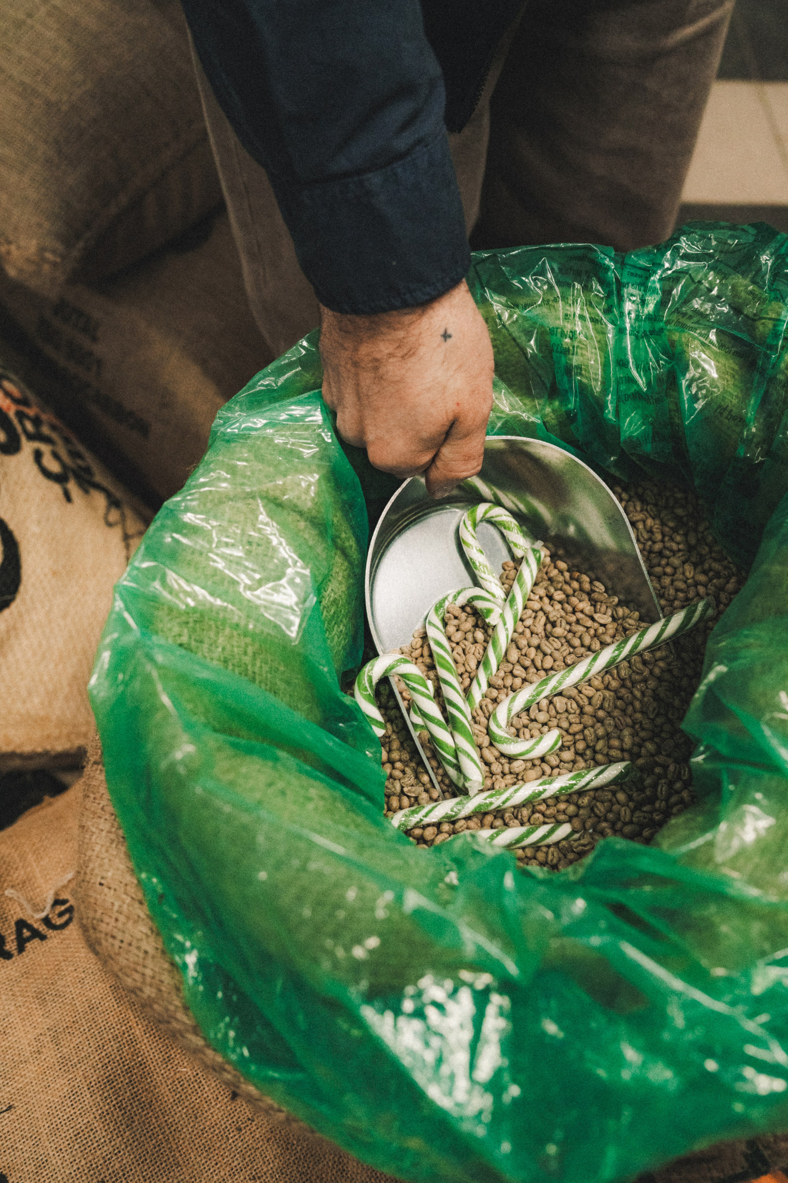 Fauno. Фотограф Илья К. в Москве