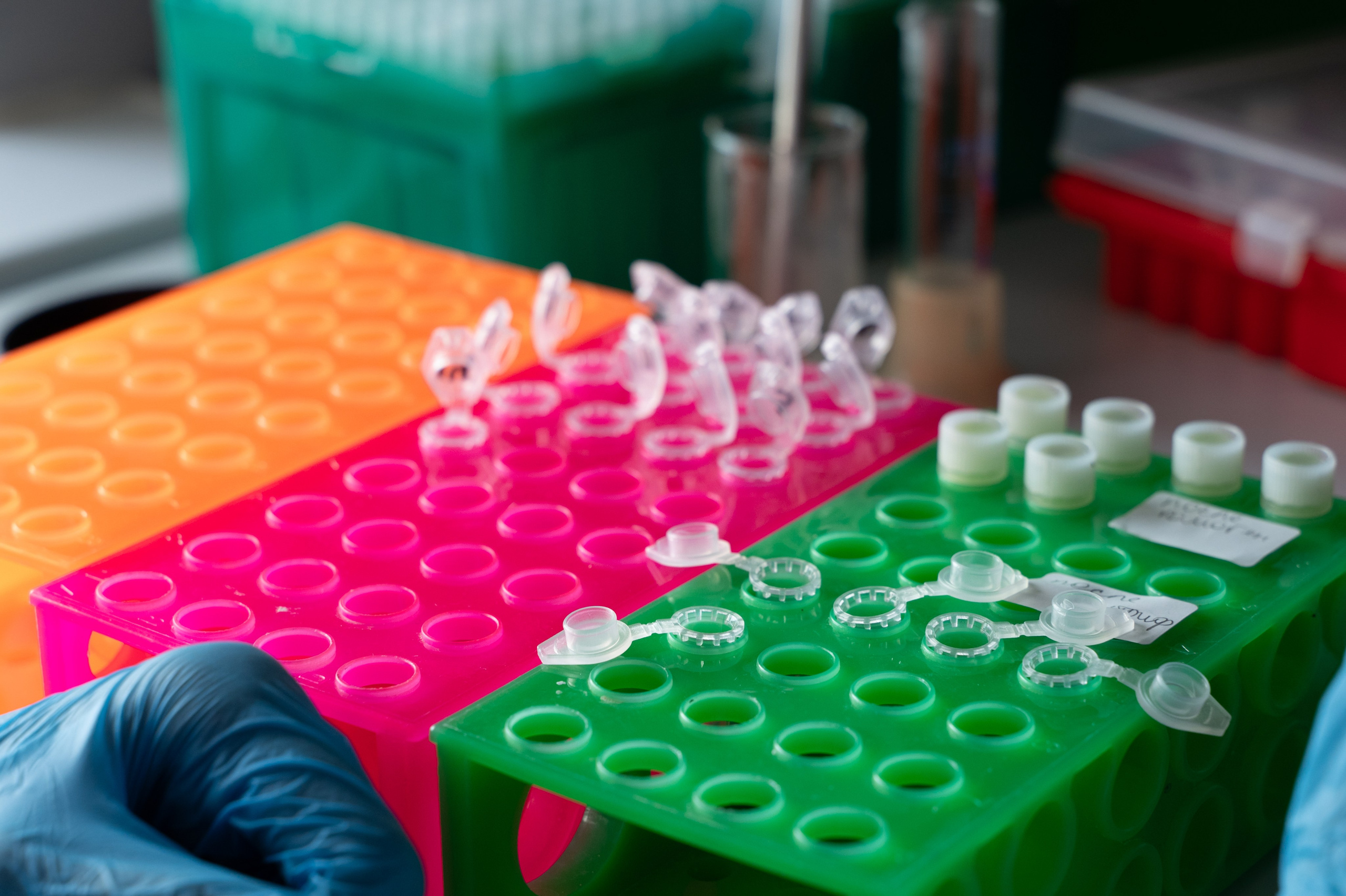 Международная конференция РАН