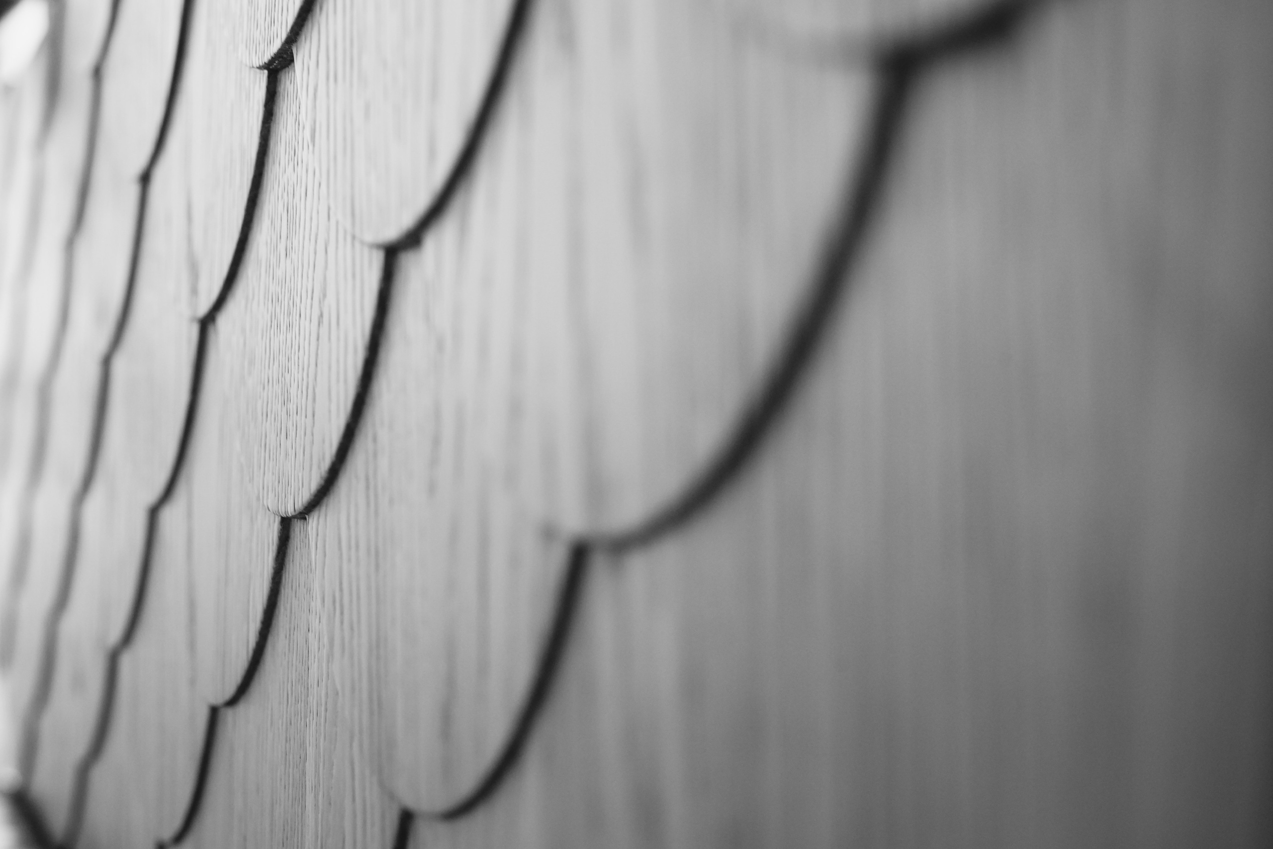 Живет художник. Arseniy Karchevskiy I Photographer