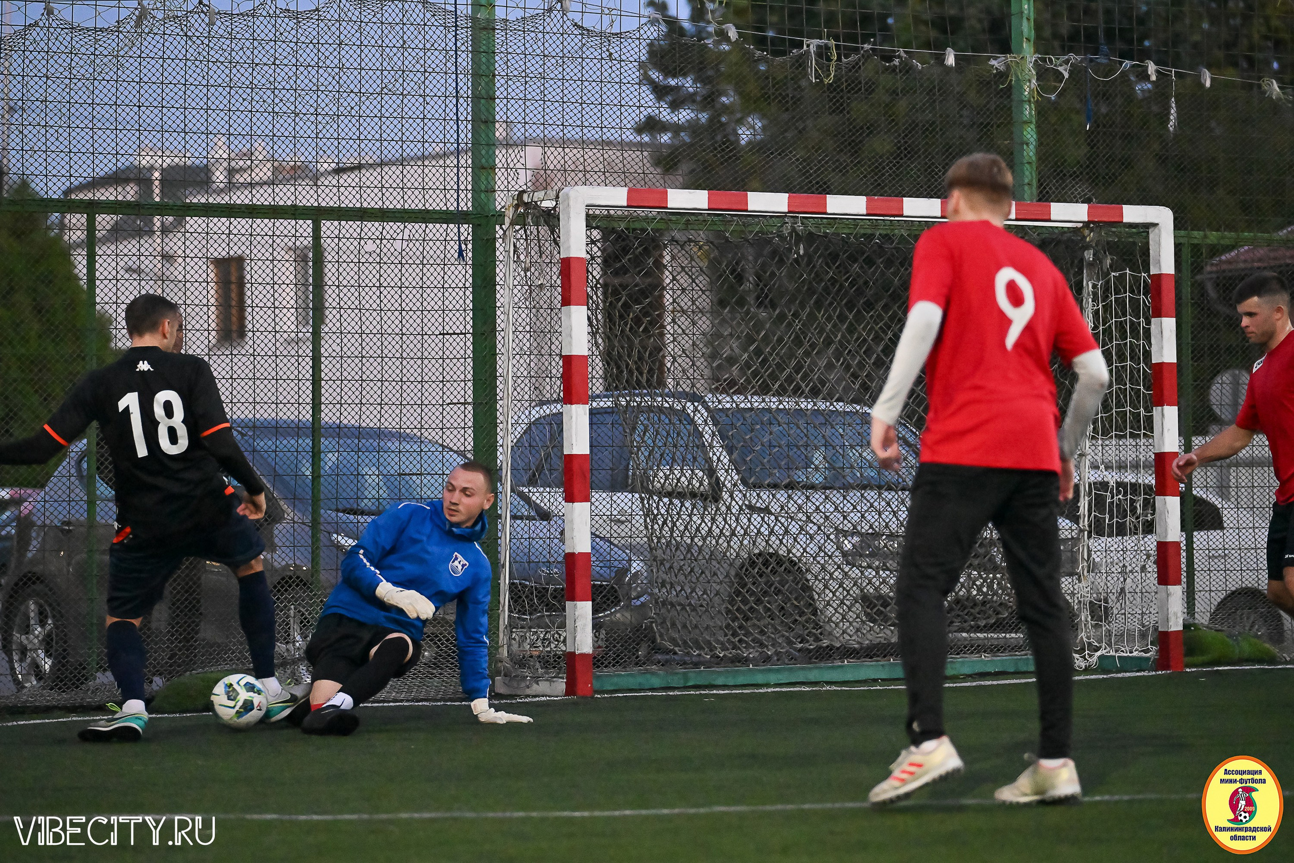 ИГРЫ ПЛЕЙ-ОФФ ПЕРВОГО ДИВИЗИОНА МИНИ-ФУТБОЛЬНОЙ ЛИГИ. VIBECITY.RU Вайб Сити Ру Фоторепортажи Фотоотчеты Калининград