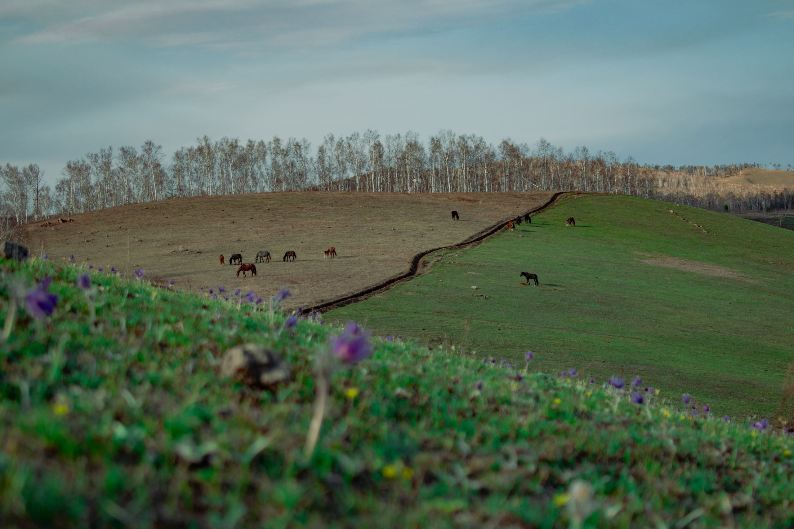 Фотограф. Шелопугино, Забайкальский край