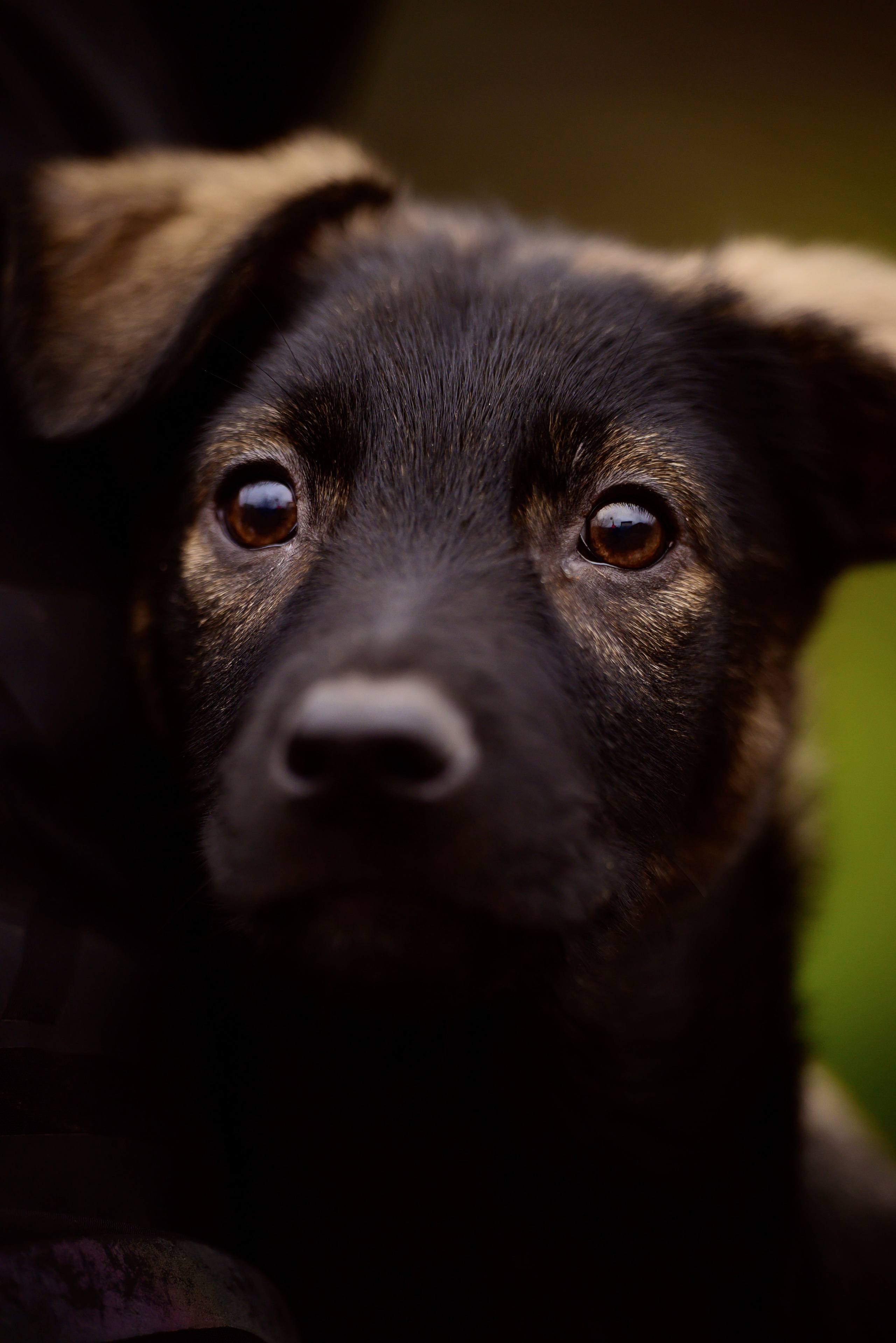 Круассанчики. Мила Астахова