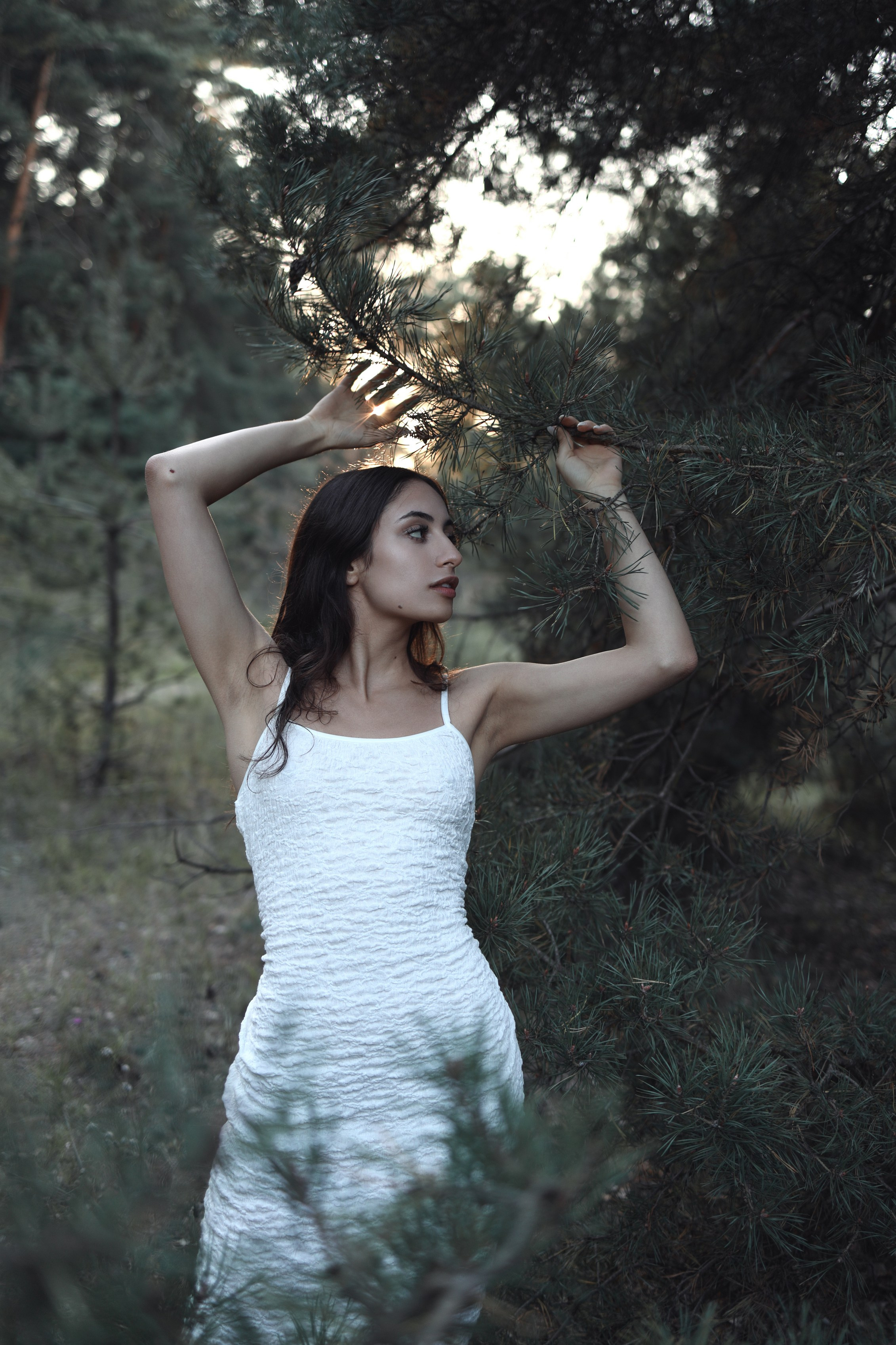 Ύδωρ και δάσος. Арт-фотограф. Coffelisk