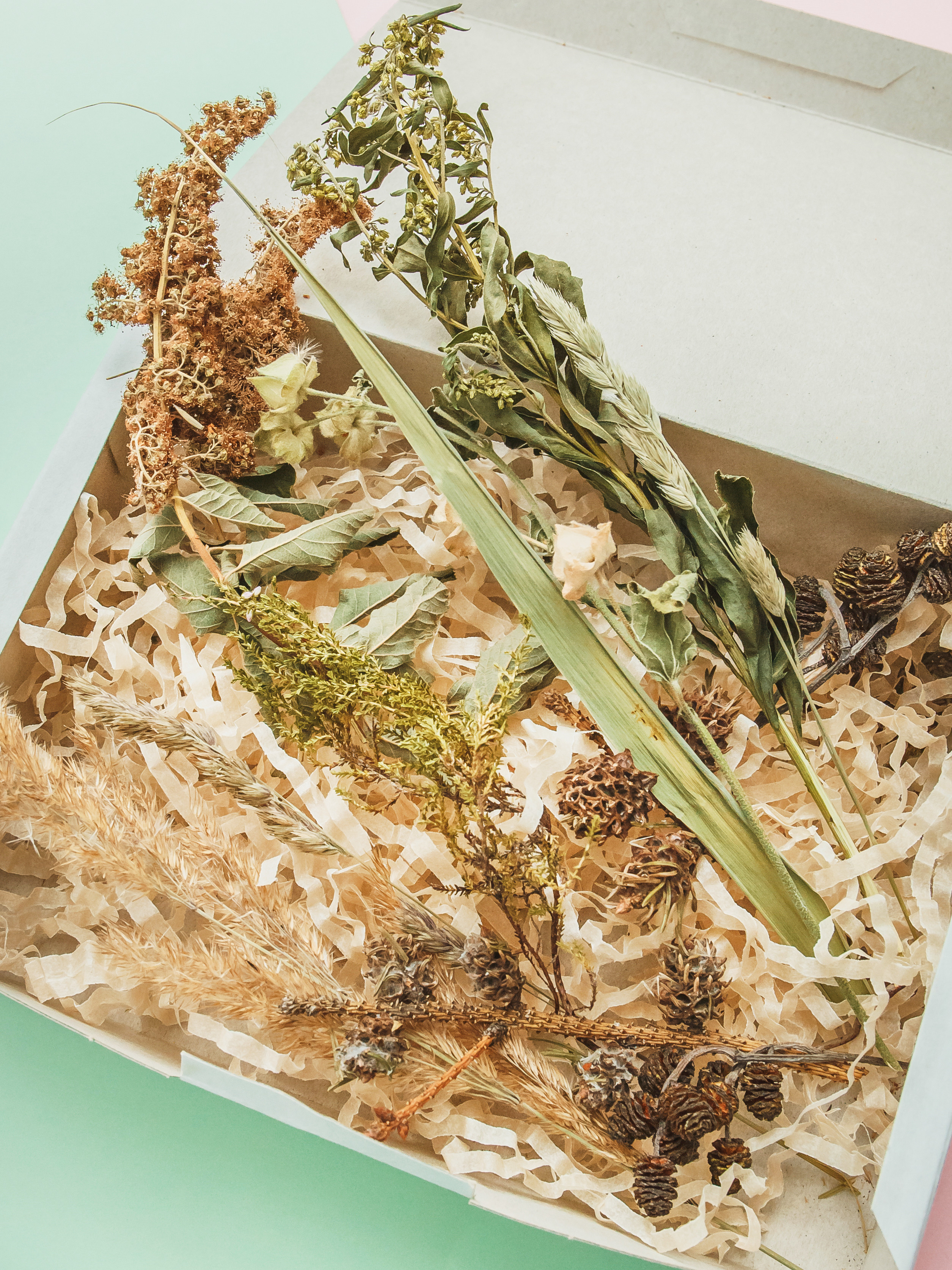 Серии. Предметный и семейный фотограф в Санкт-Петербурге Катерина Стеклова