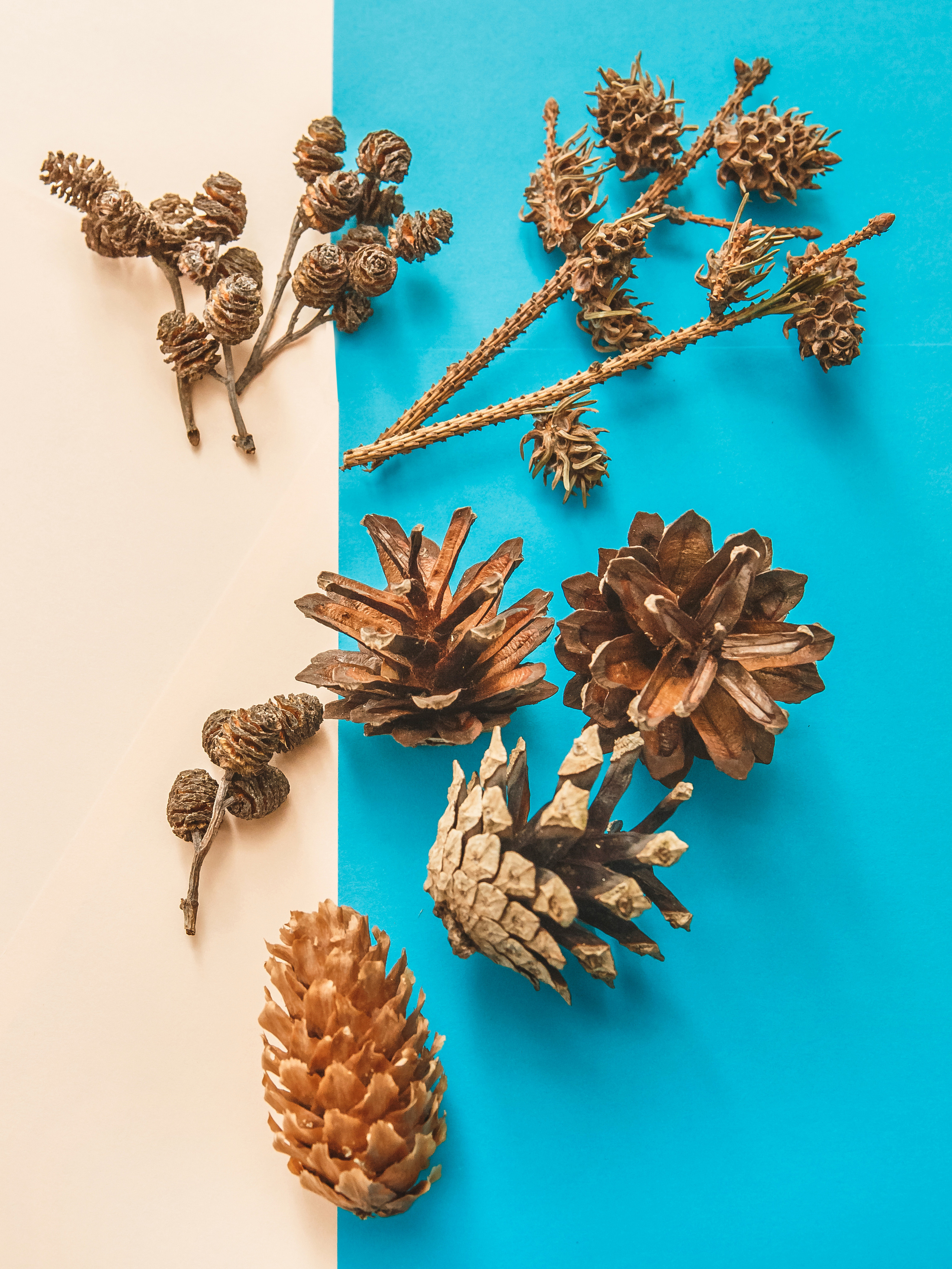 Серии. Предметный и семейный фотограф в Санкт-Петербурге Катерина Стеклова