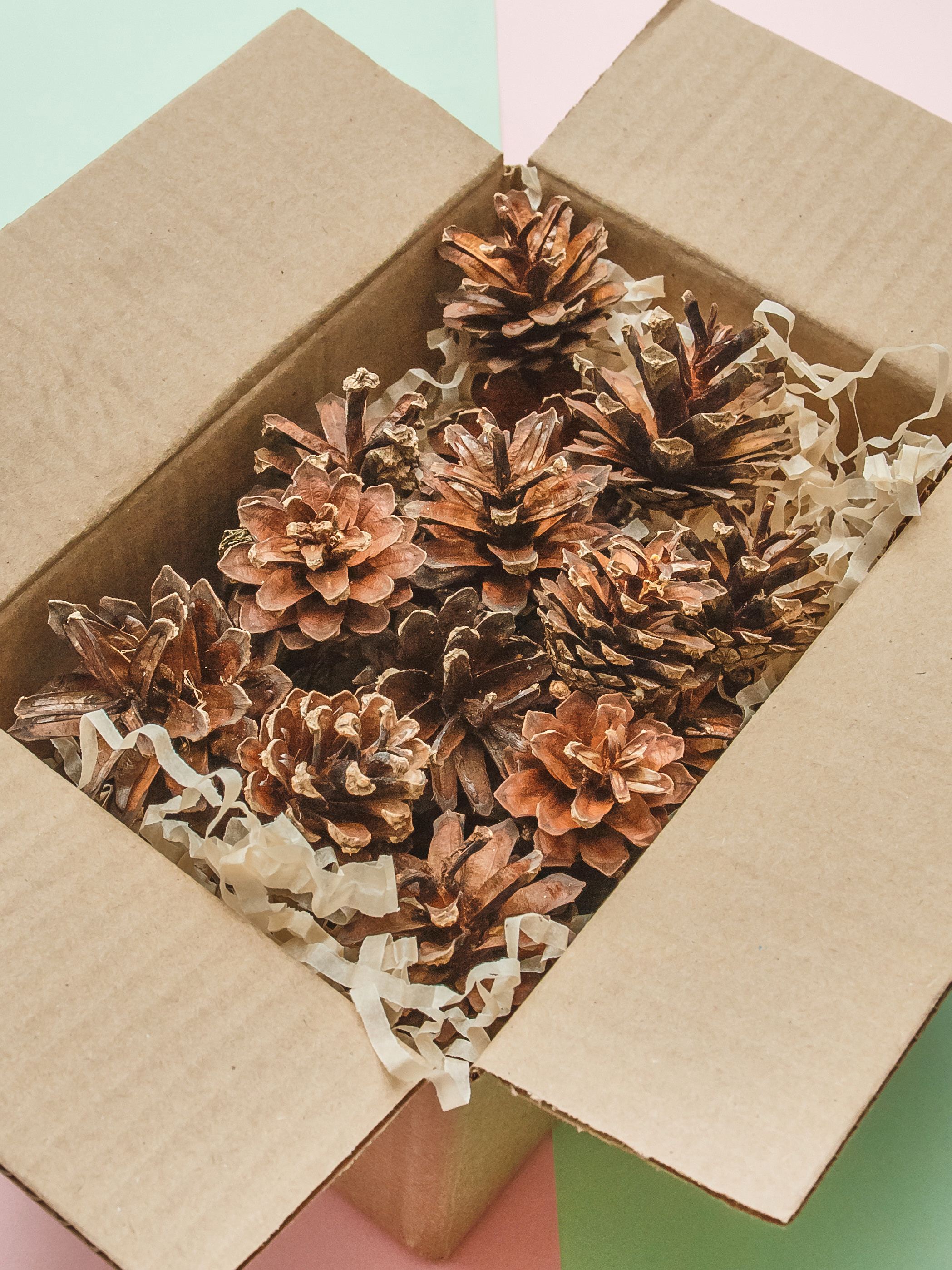 Шишки,подарочные наборы,сухо цвет,цветы