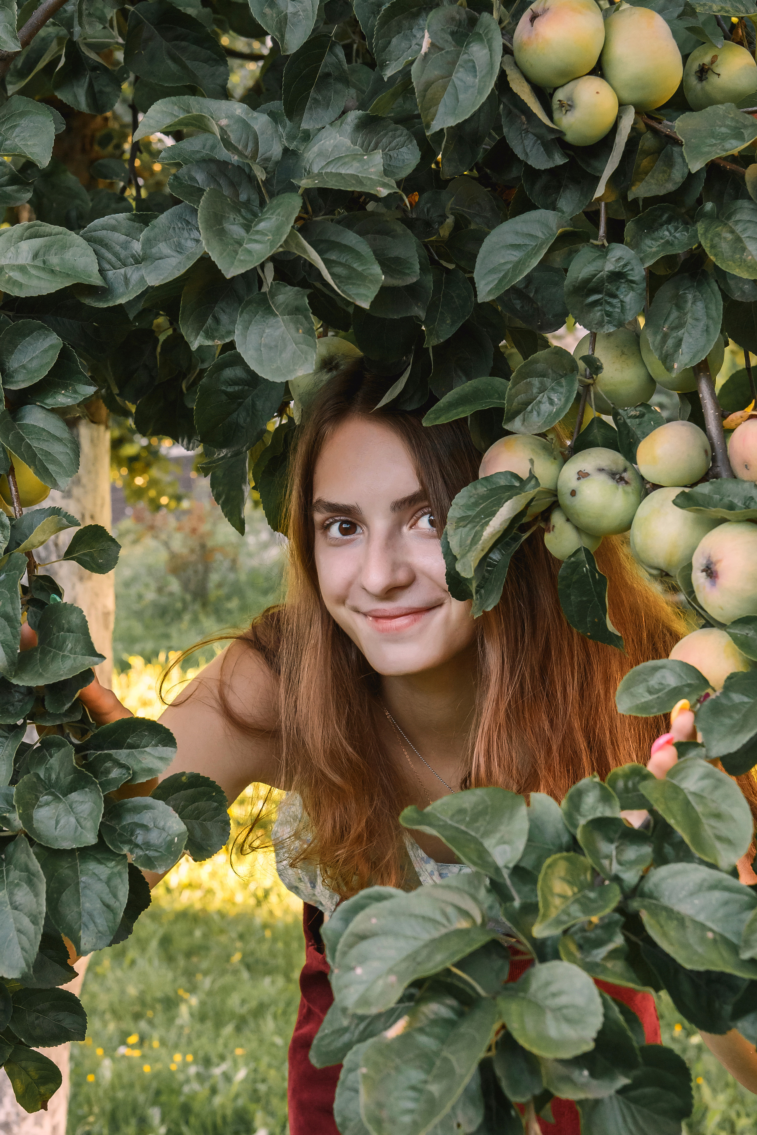 Портрет красивой и милой девушки в яблоках