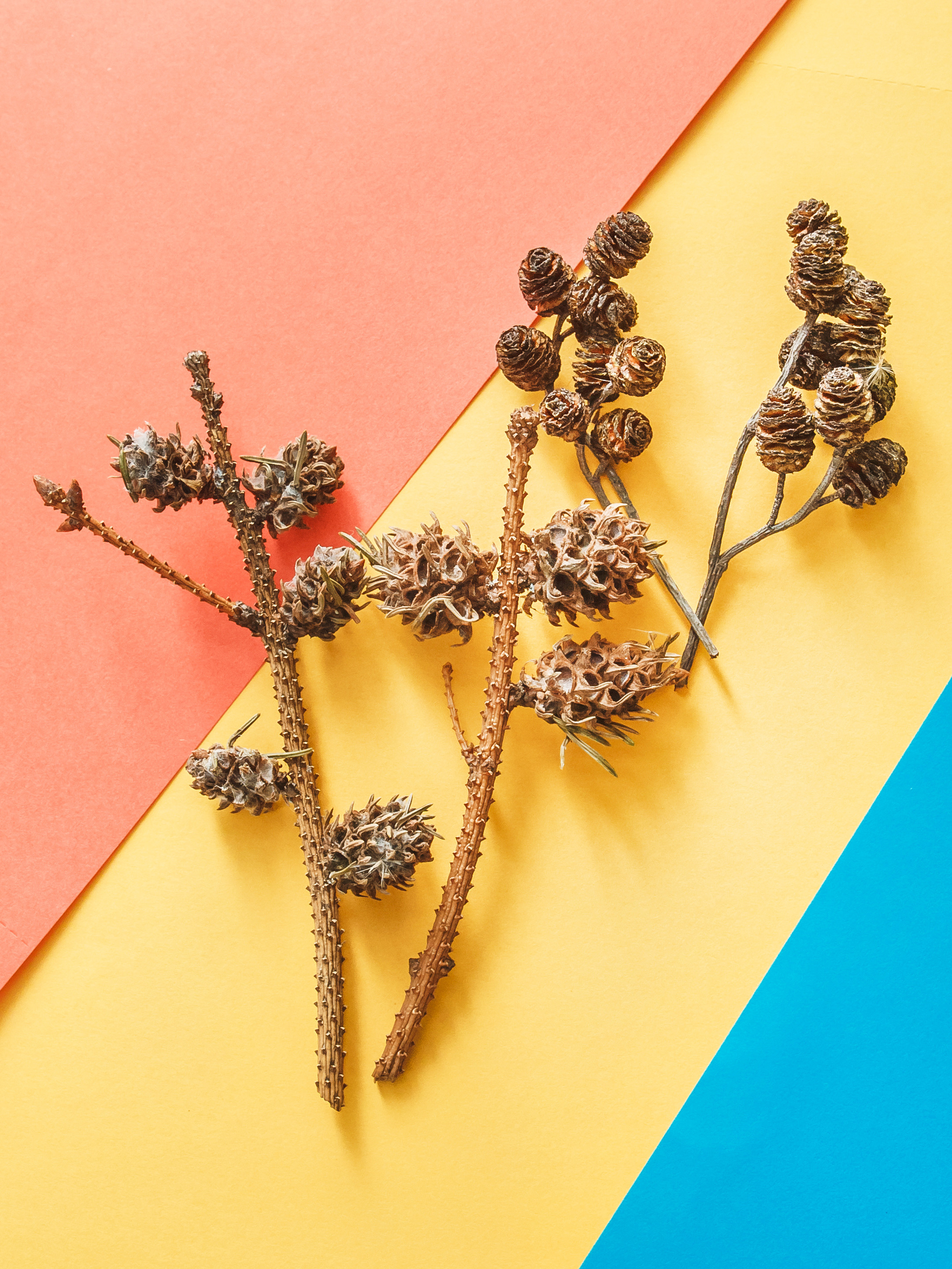 Серии. Предметный и семейный фотограф в Санкт-Петербурге Катерина Стеклова