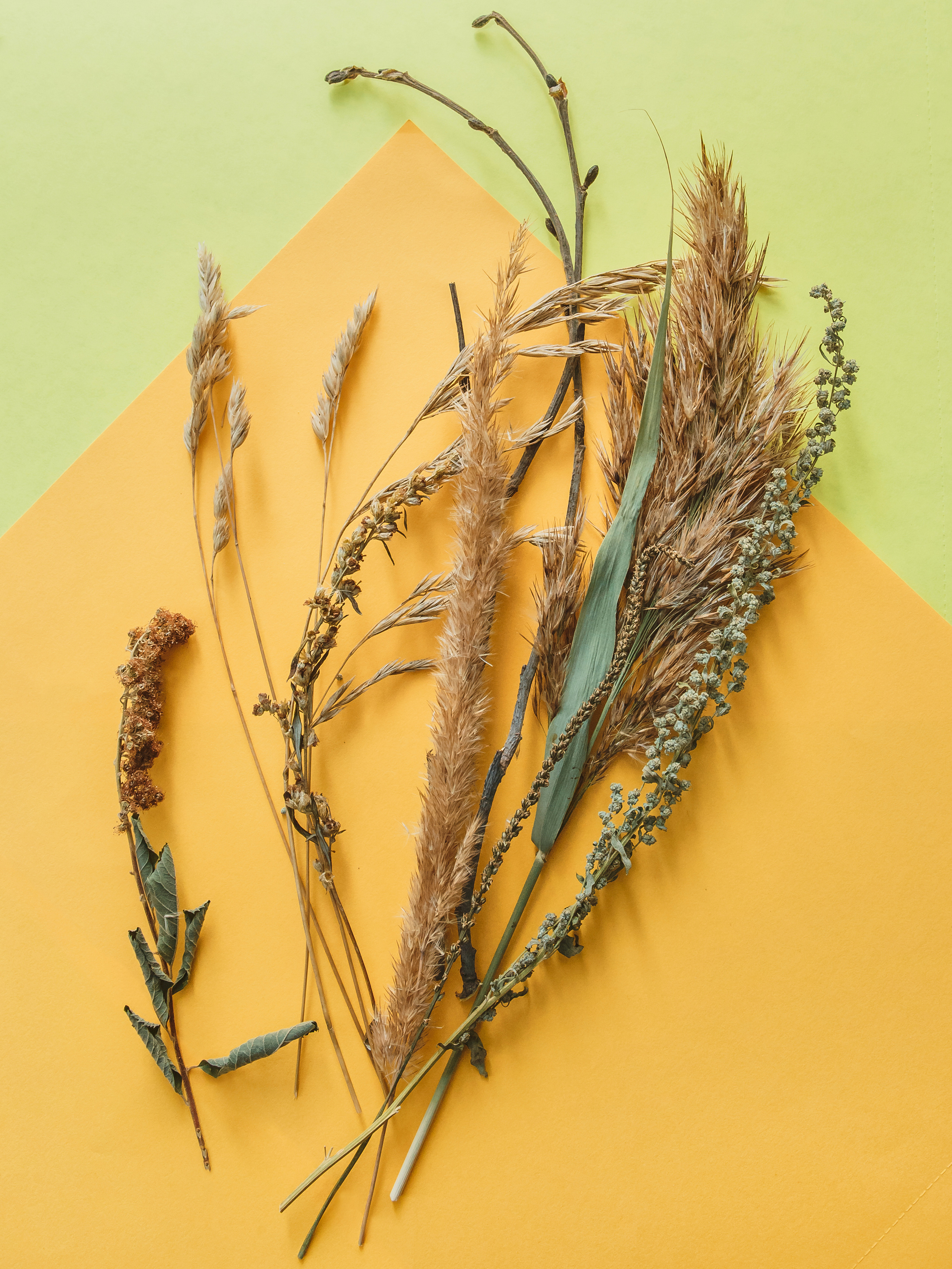 Сухая трава,хэндмей,набор для подарка.фото подарков  на фоне