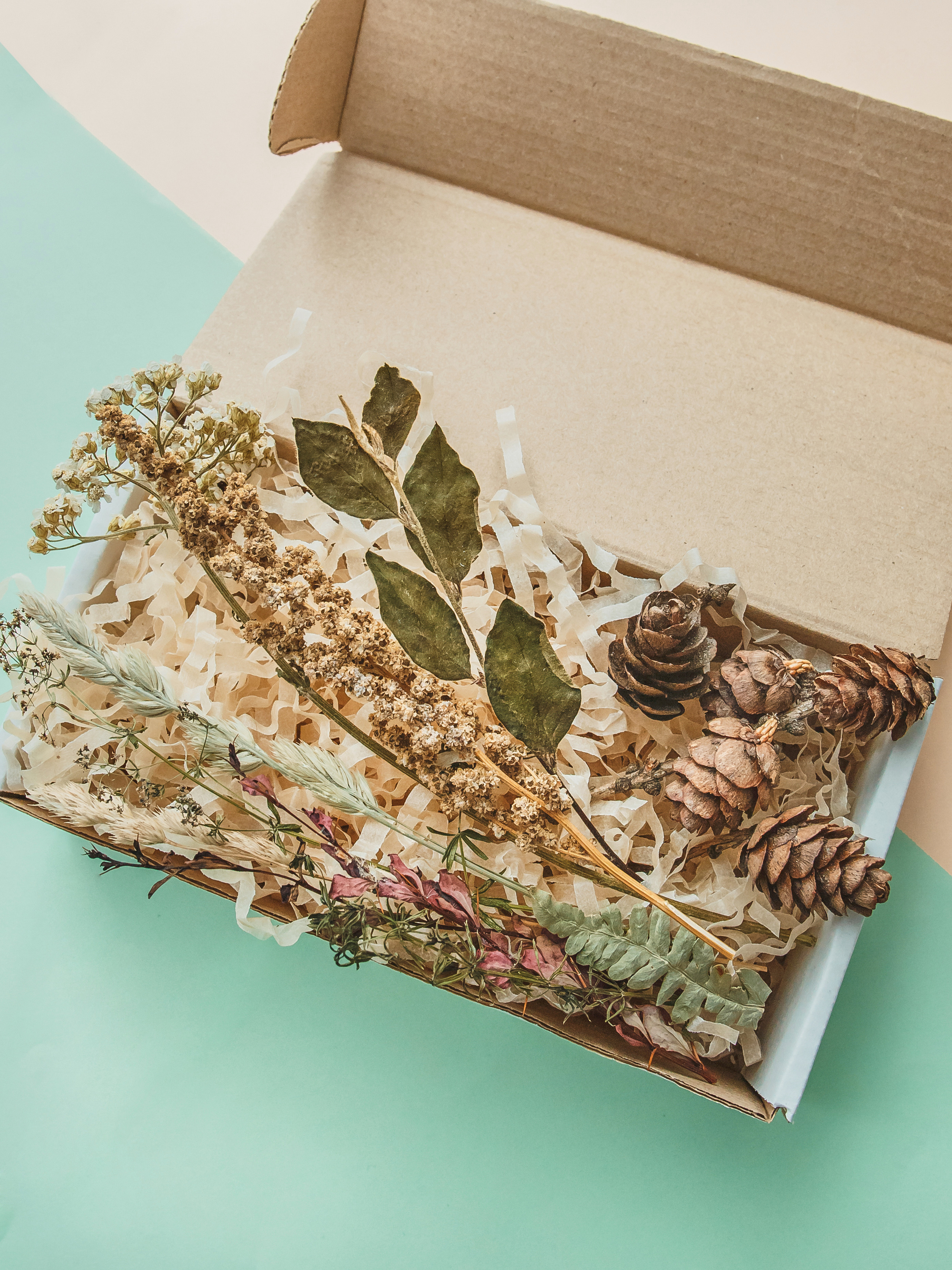 Шишки  и трава на ярком цветном фоне.идеи для подарка для любимых людей