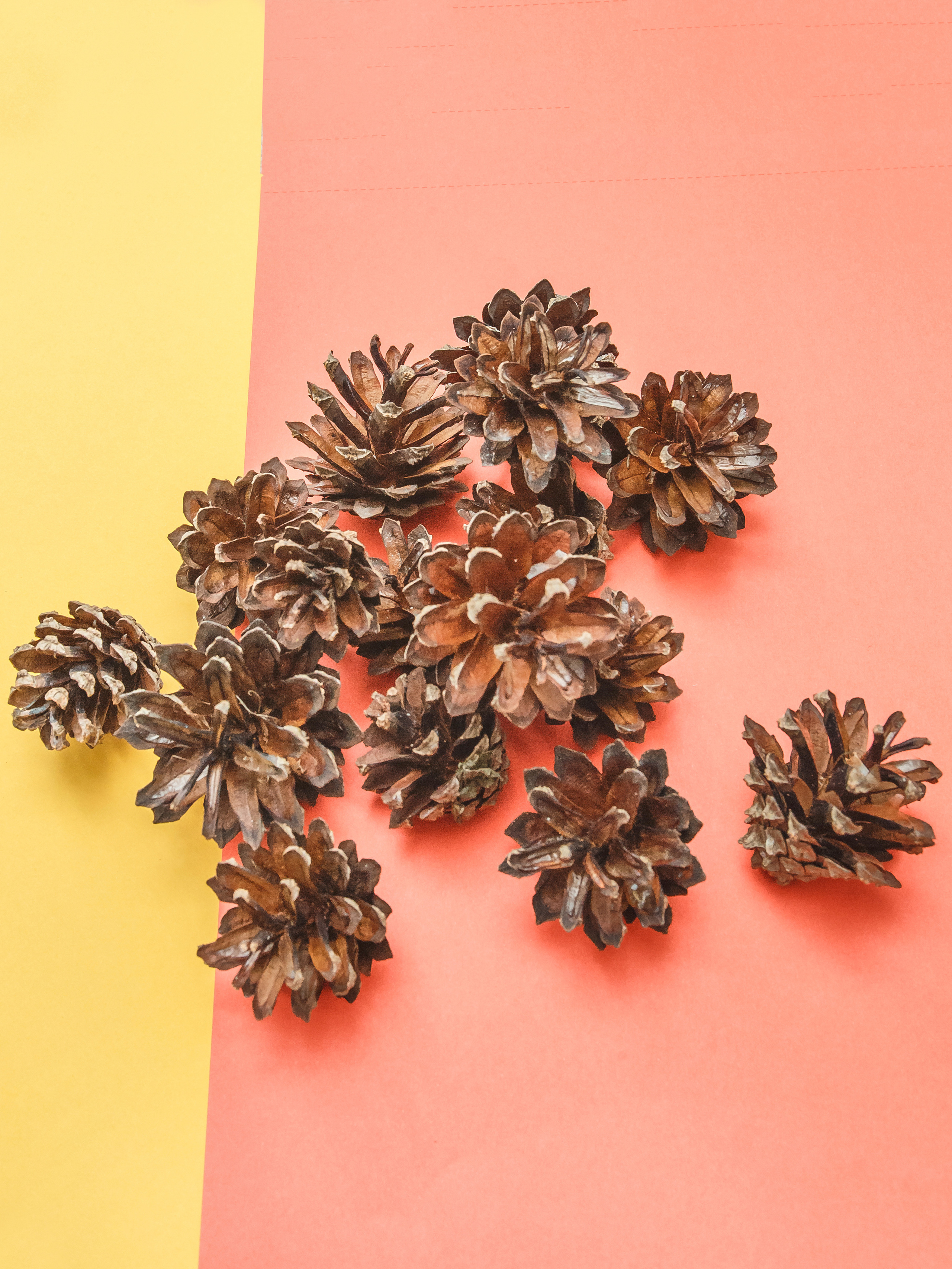 Серии. Предметный и семейный фотограф в Санкт-Петербурге Катерина Стеклова