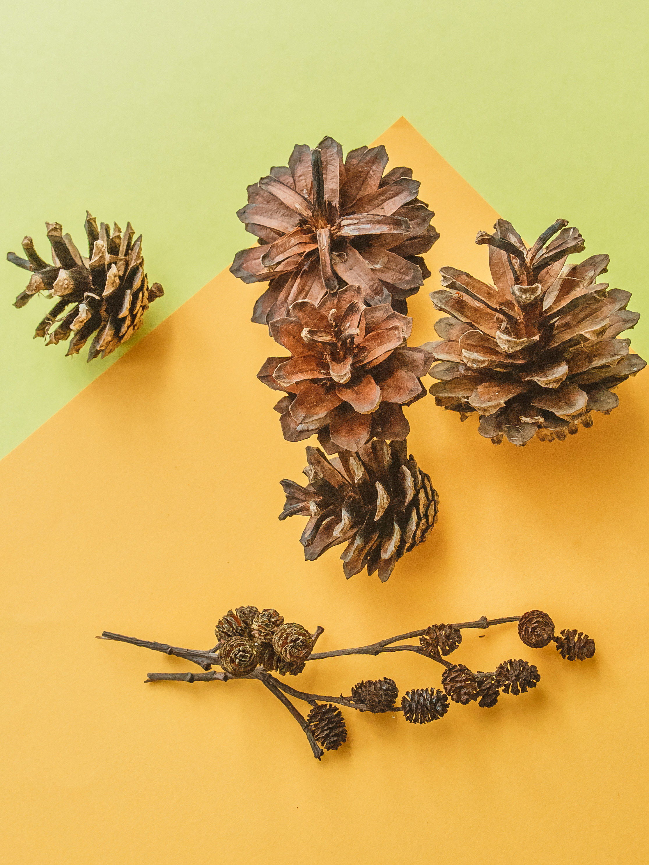 Серии. Предметный и семейный фотограф в Санкт-Петербурге Катерина Стеклова