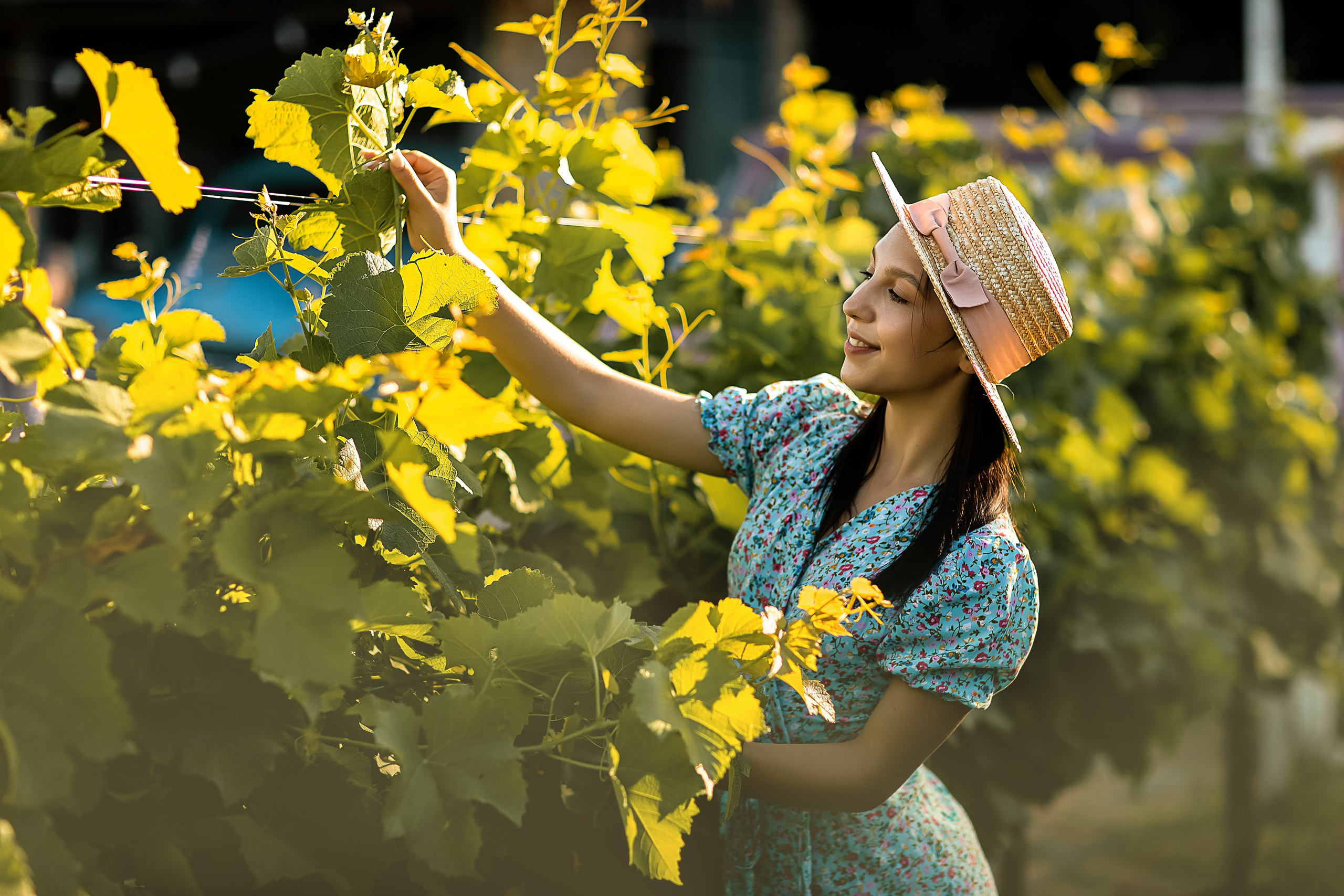 Лаванда/Анапа. Свадебный и семейный фотограф/видеограф в Краснодаре Наталья Осинская