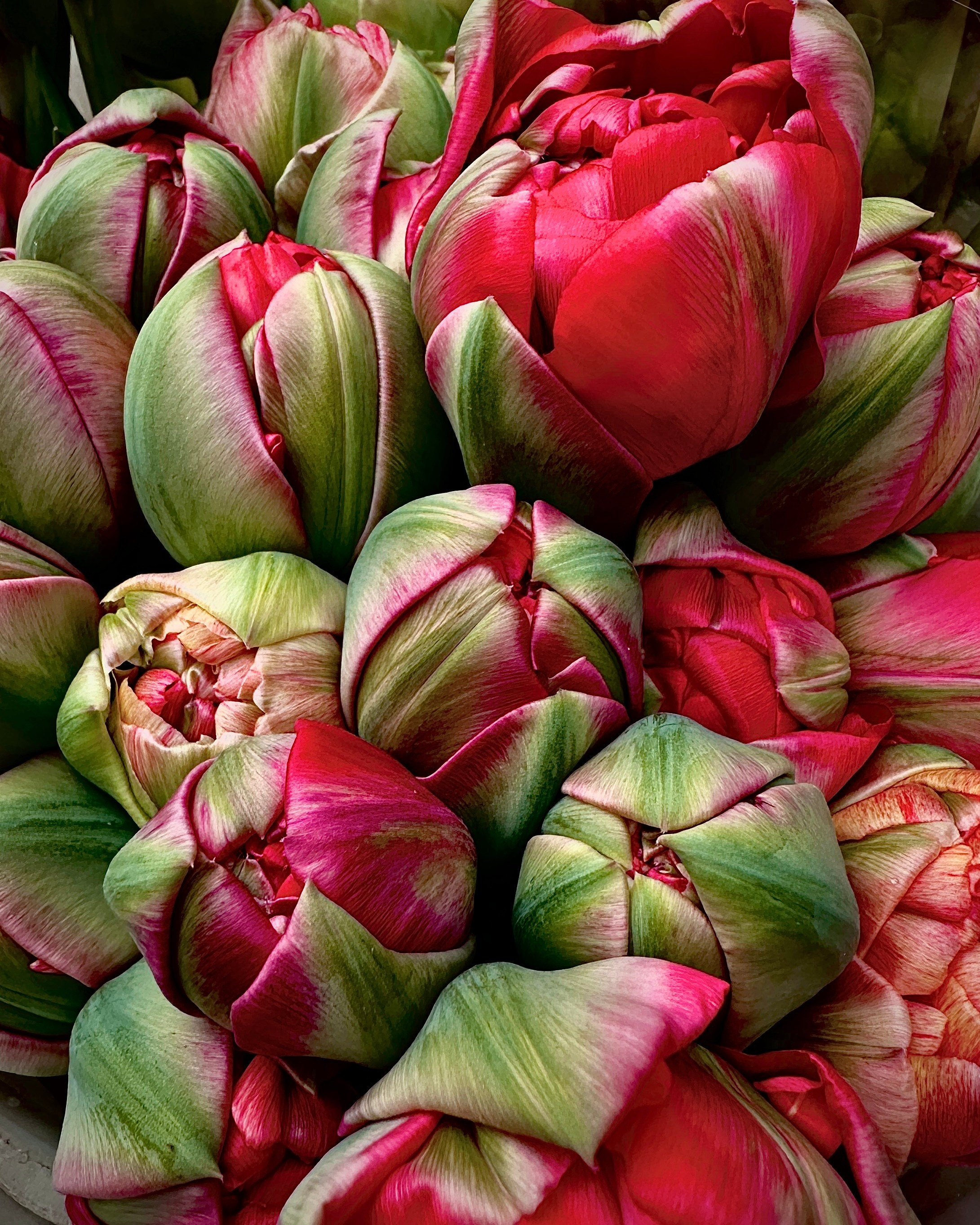 Макро любовь. Смотри, красота!