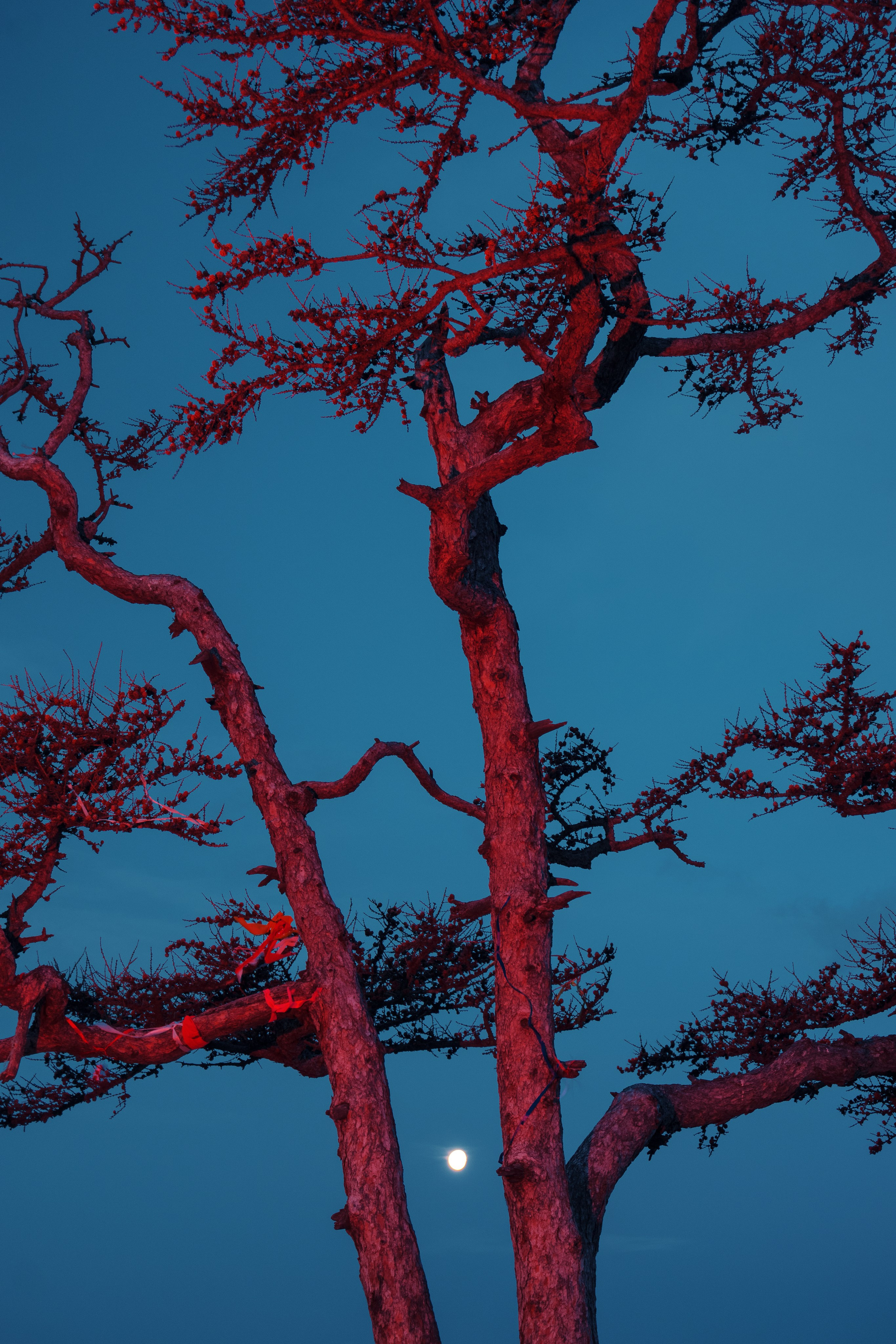 Landscapes. Irina Borodina