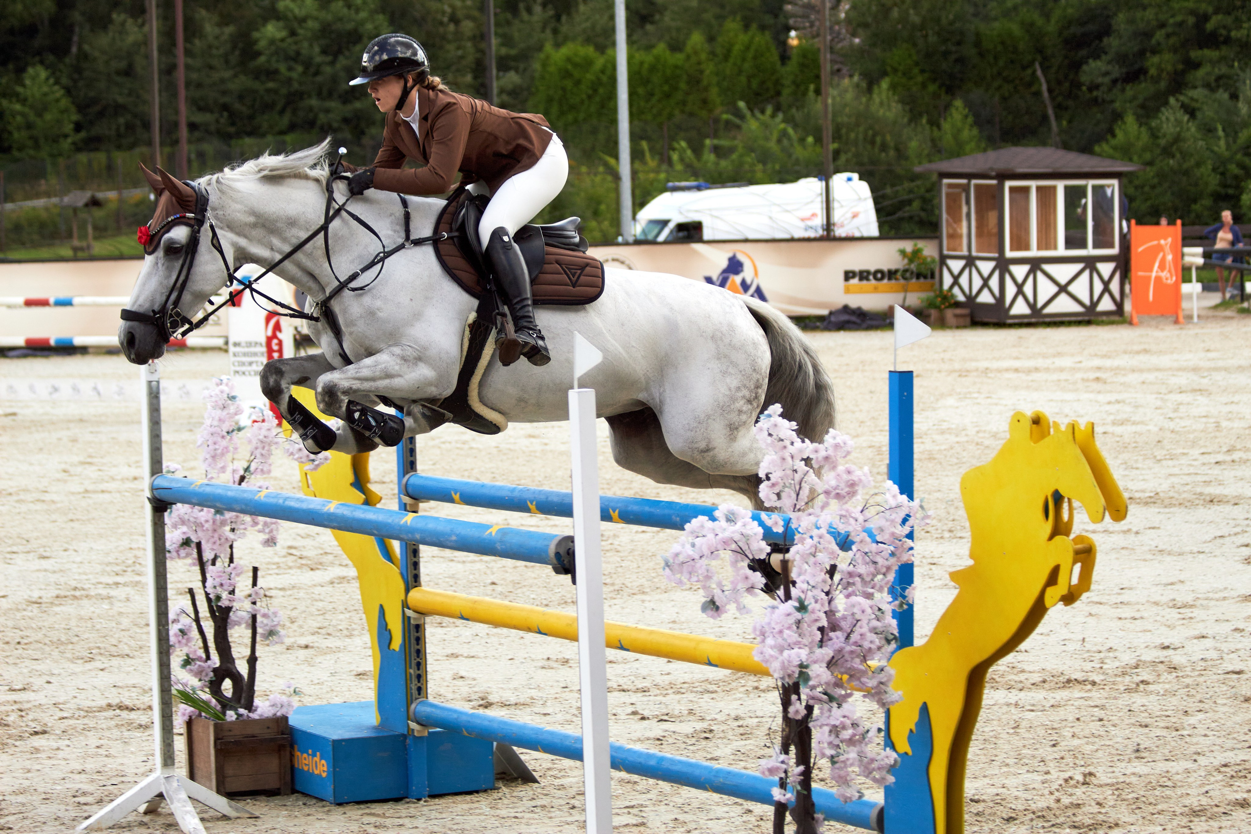 Конкур в «Виват, Россия». Фотограф анималист — Тула, Москва