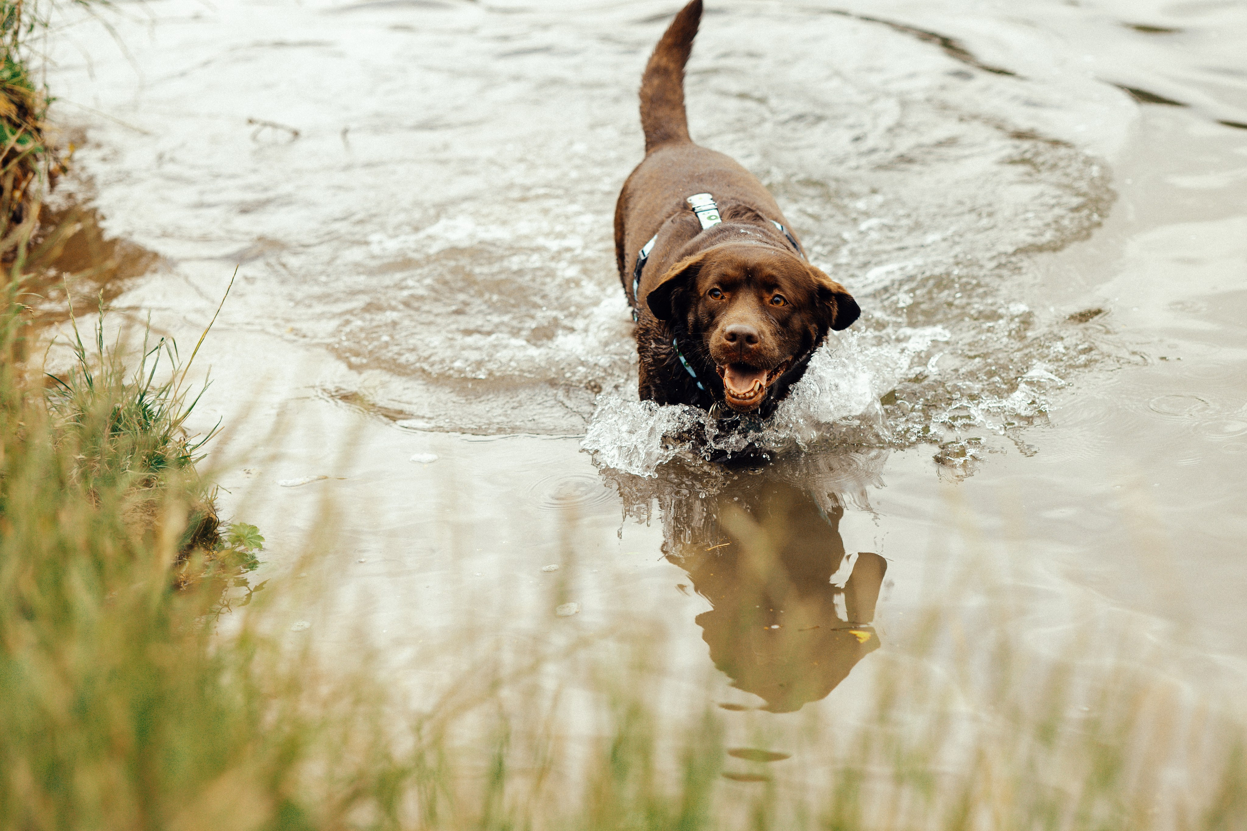 Вальда и Настя. Анна Самохина. Фотограф. Москва