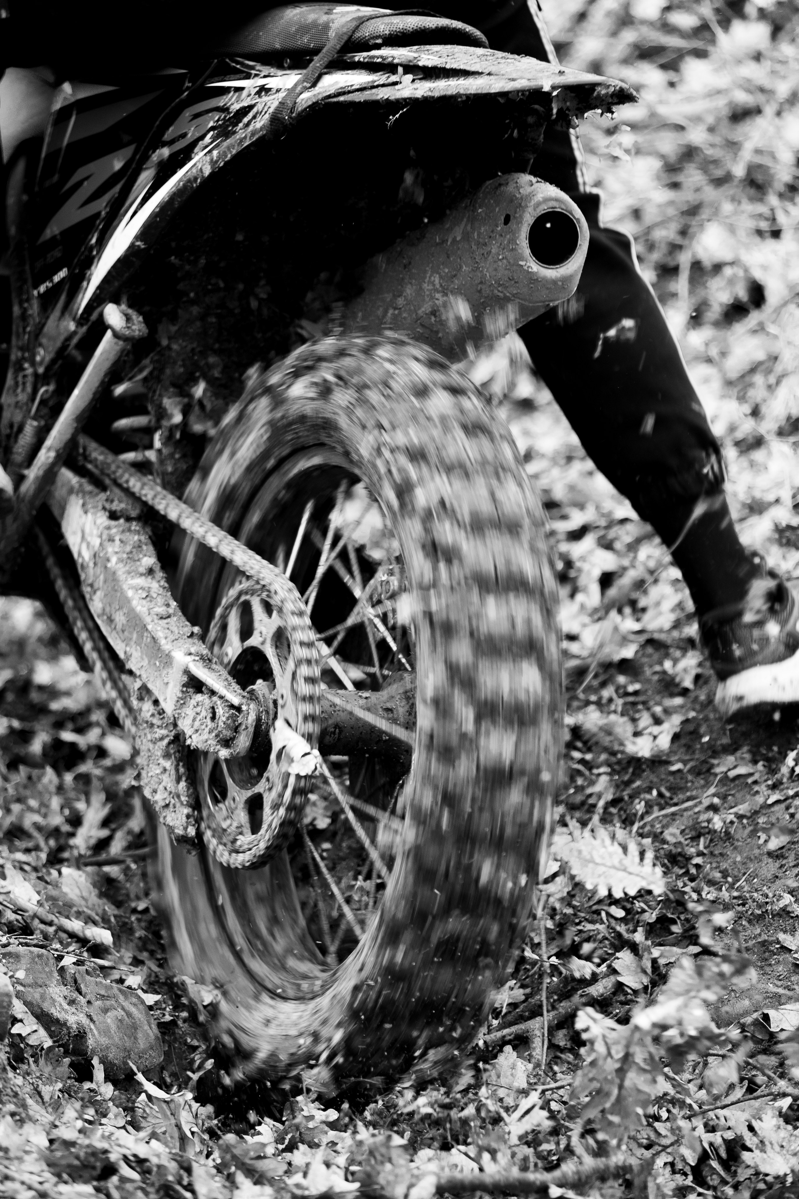 Эндуро Фест от Shamax Motors (Краснодар). Свадебный фотограф Денис Ожигин в Краснодаре и крае. Эмоциональная и стильная съемка вашего дня