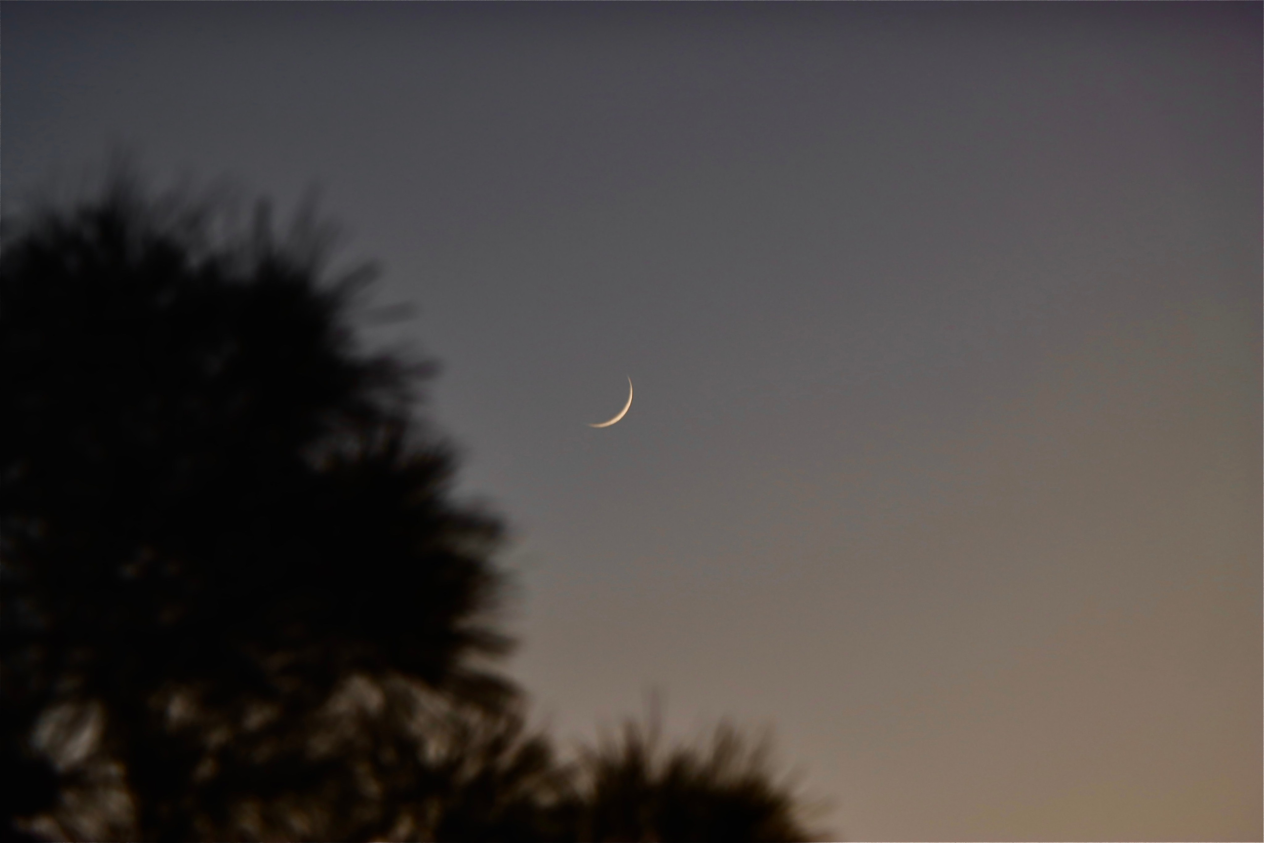 Пейзажи и прочее