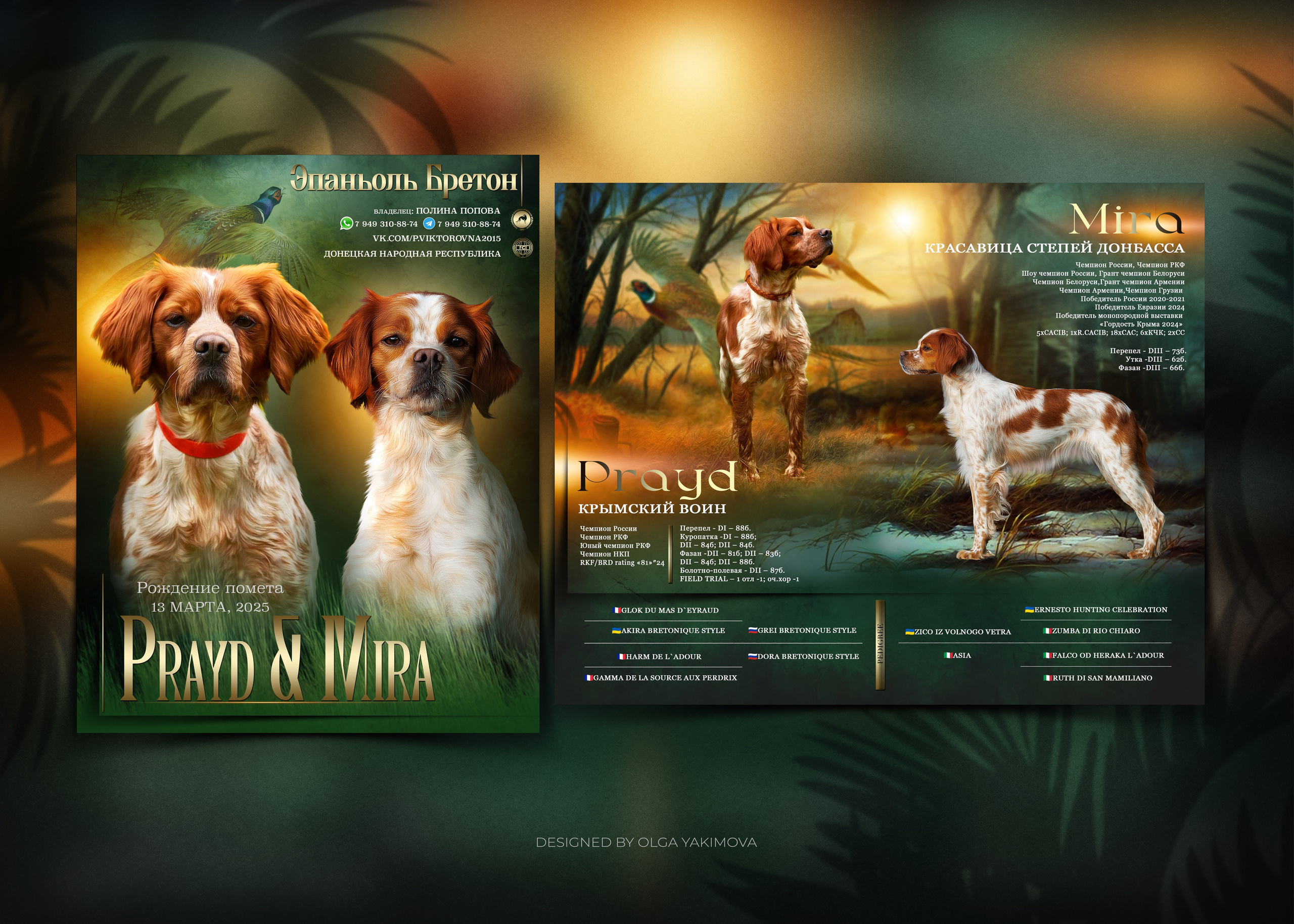 Animal presentation. Фотограф