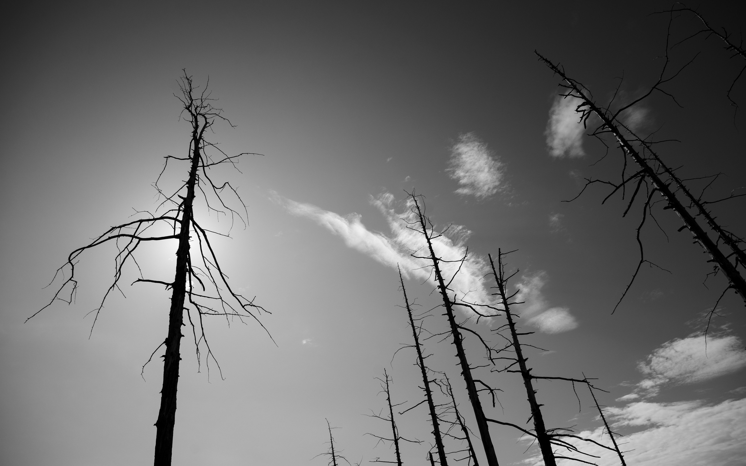 Репортаж туризм. Фотограф на Камчатке