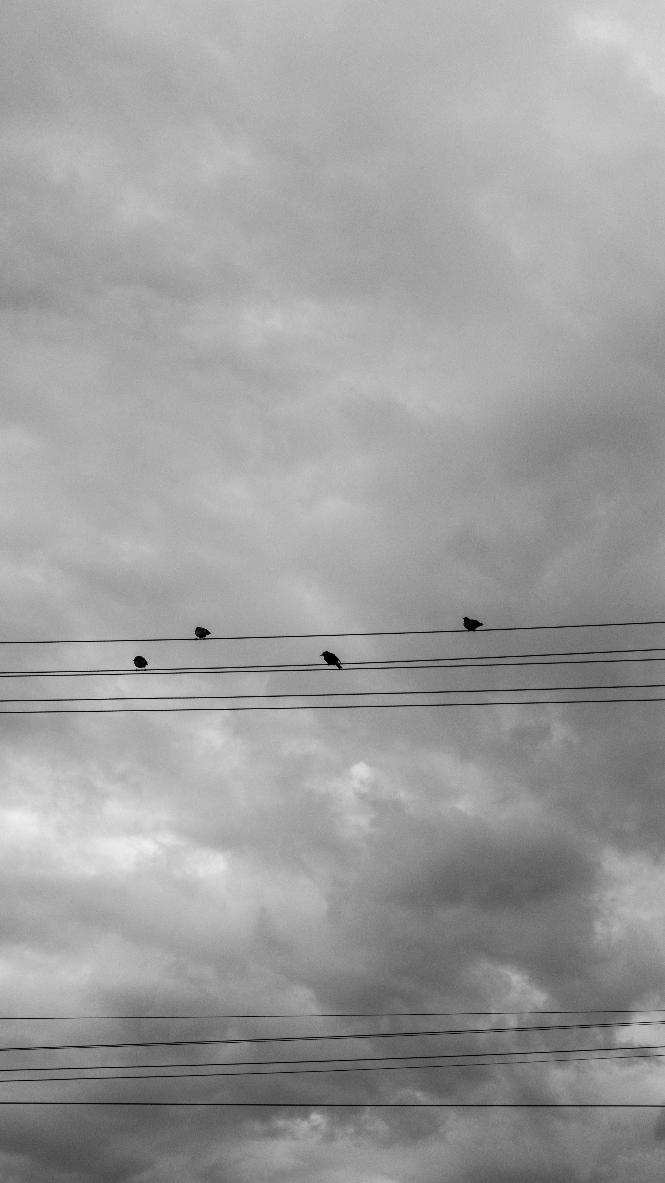 Природа. Фотограф Маргана Лоция