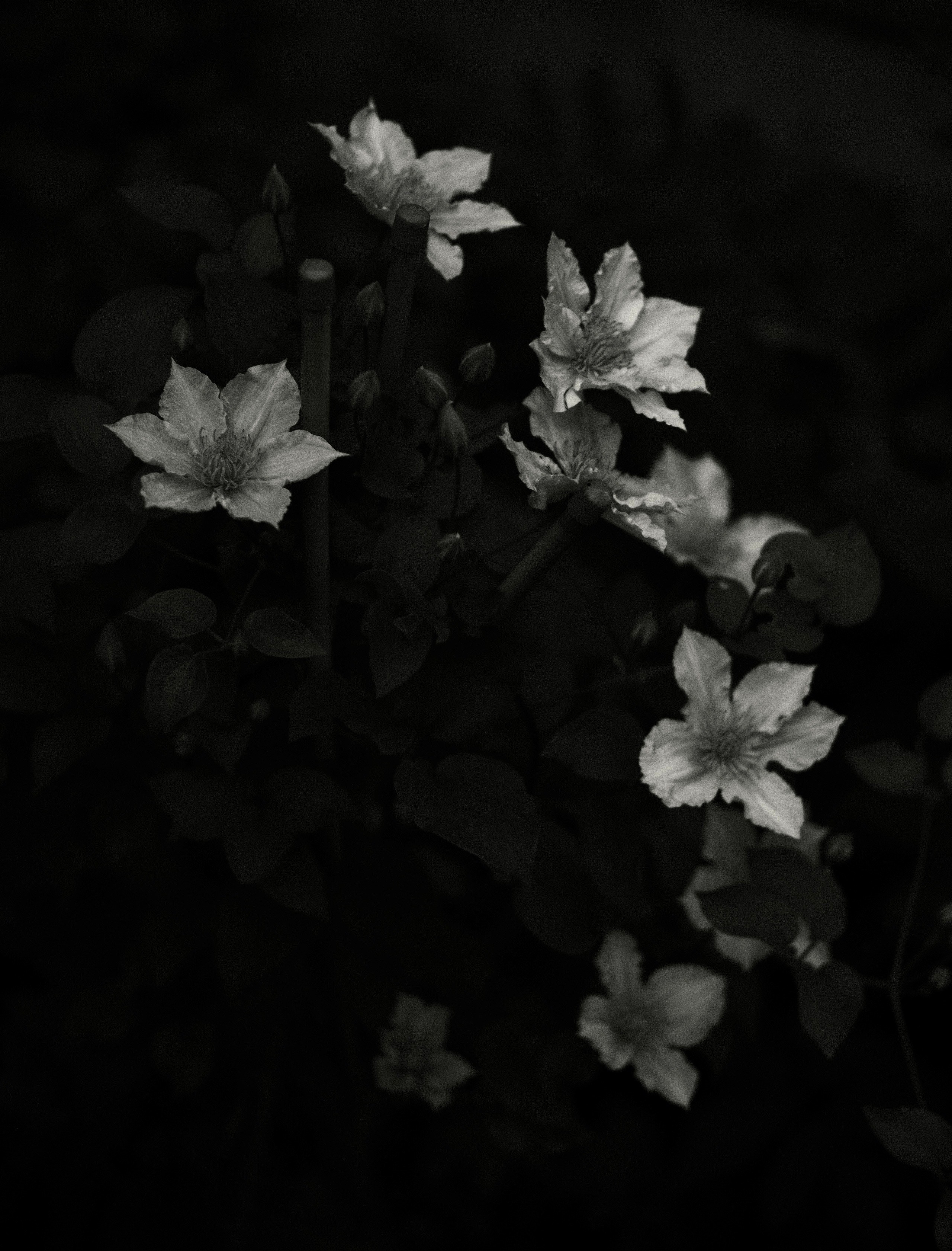 Природа. Фотограф Маргана Лоция