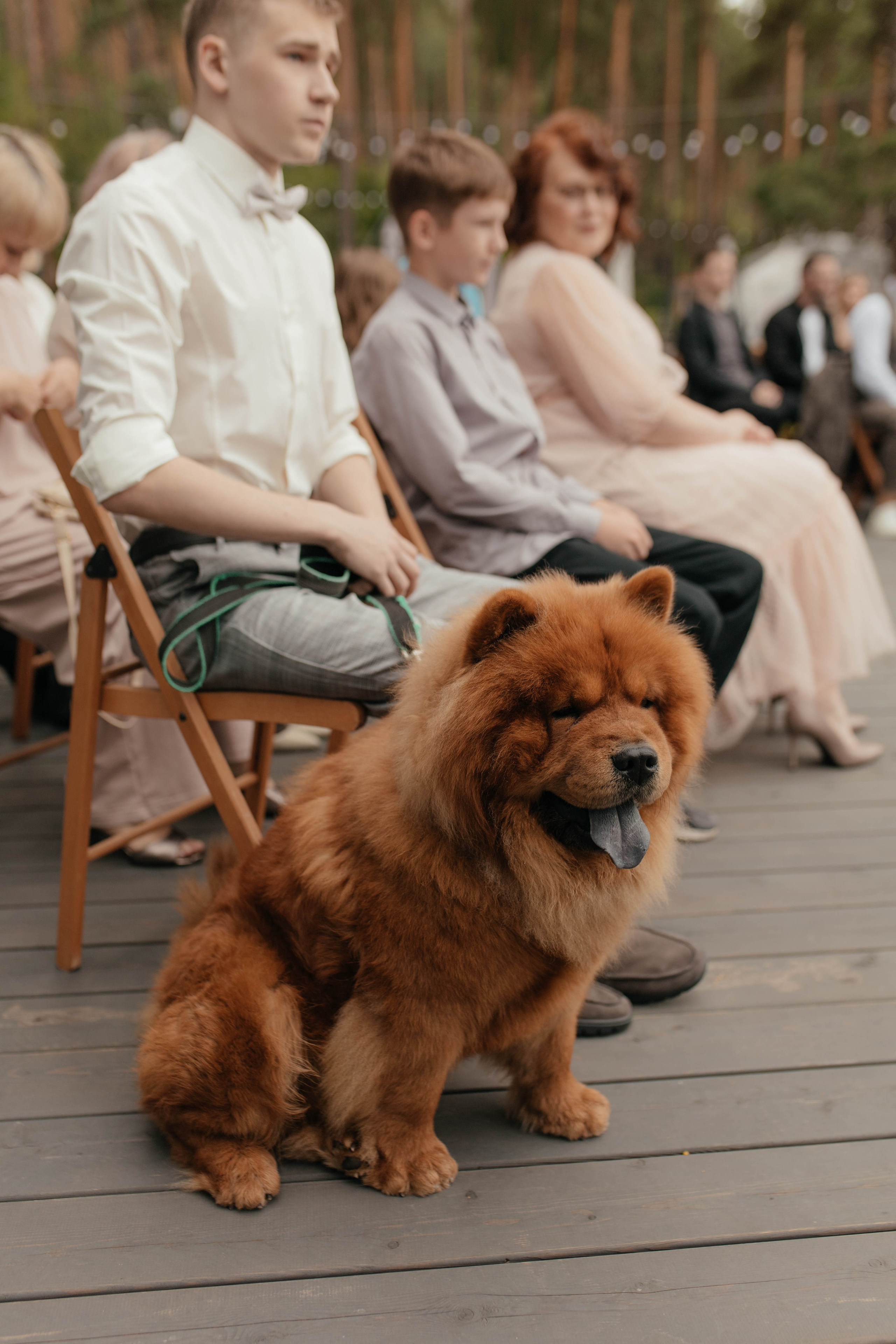 Свадьба в Горном-Алтае. Свадебный организатор Марина Корсакова, Барнаул, Бийск, Алтайский край, Горный Алтай, Новосибирск