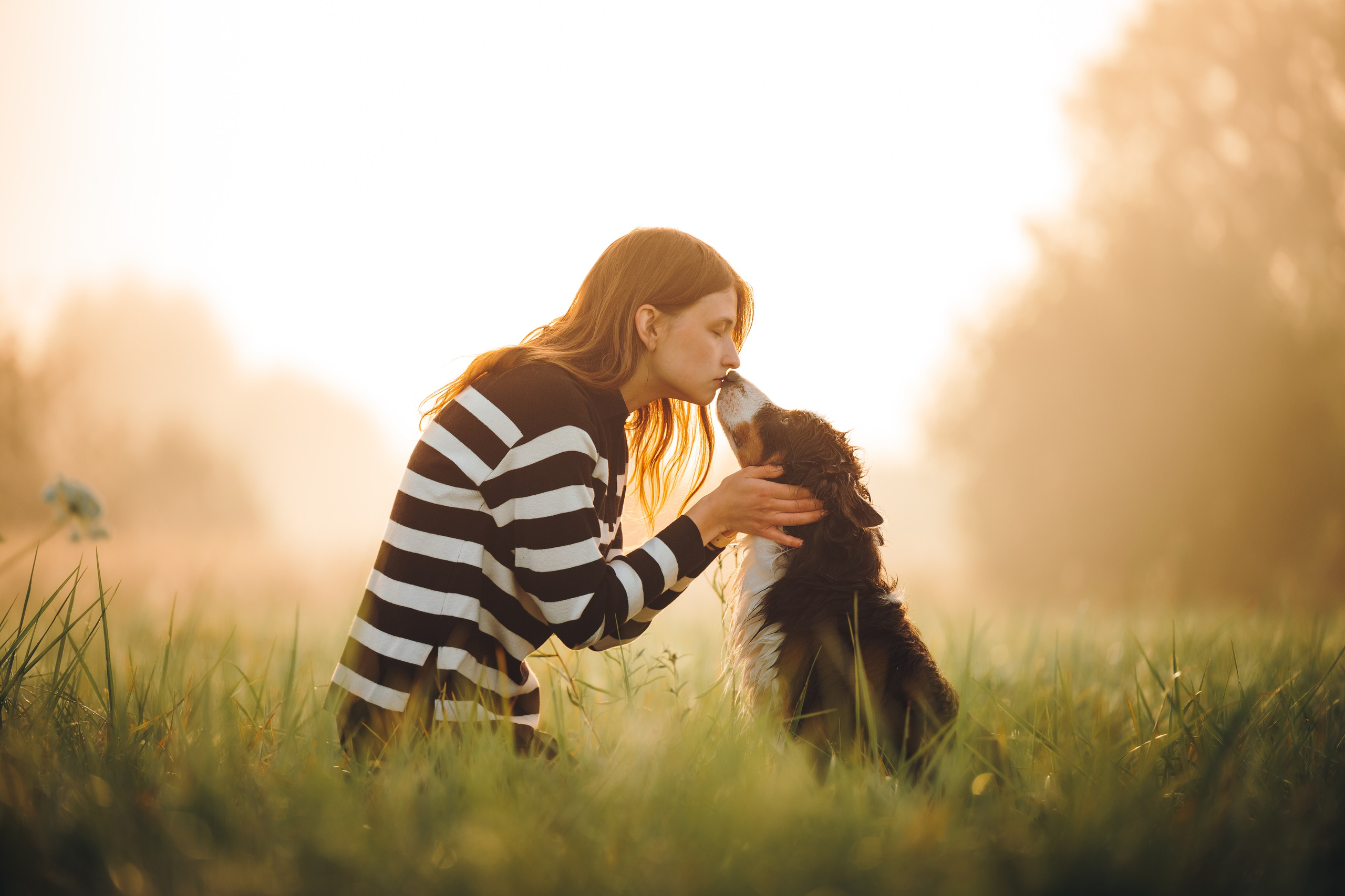 Саша, Флик и Эсприт. Семейный фотограф анималист Ананьева Мария — Москва
