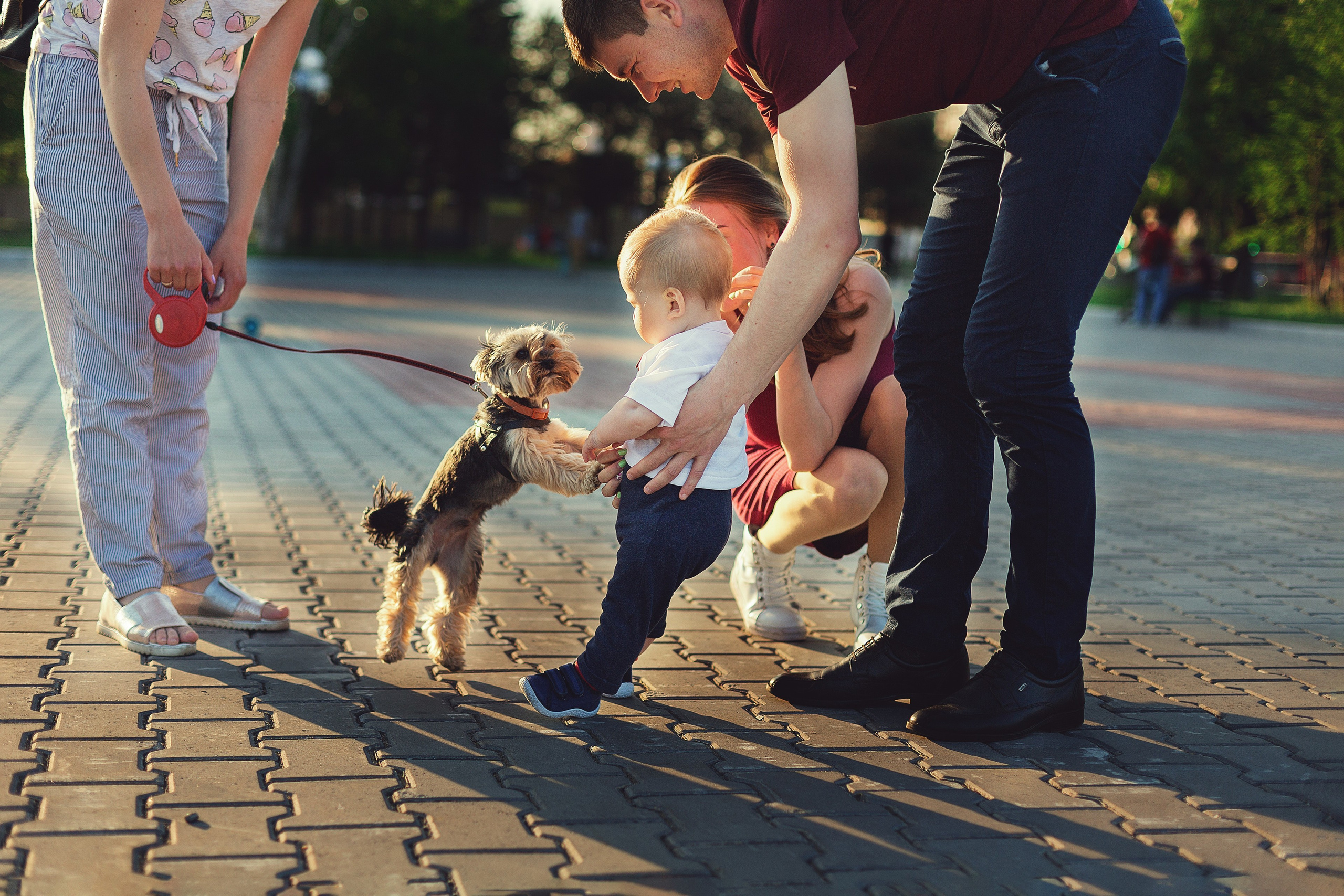 Детский и семейный фотограф в Челябинске Пайвина Алена