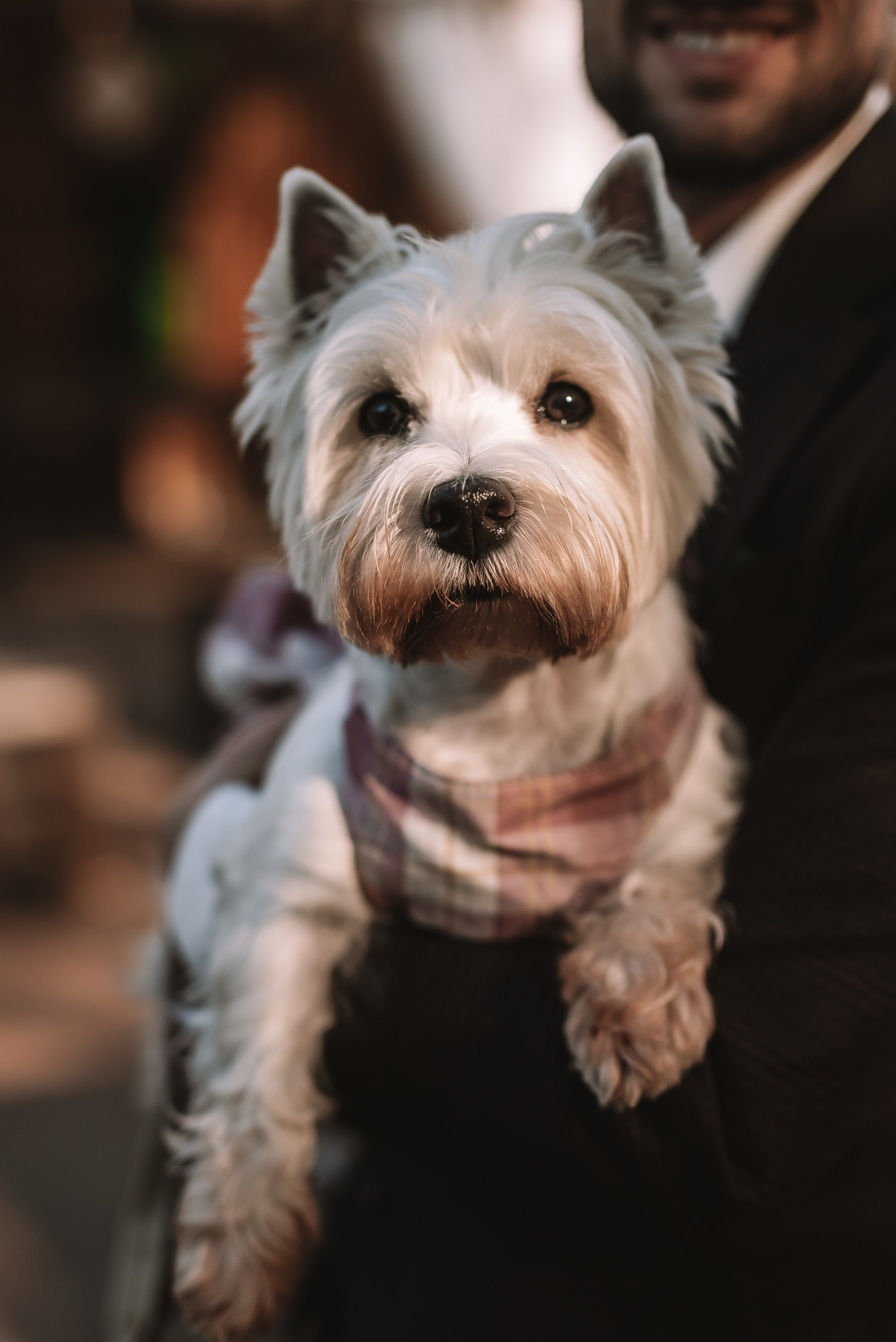 Виктория + Ярослав. Свадебный и семейный фотограф в Волгограде Олеся Лисицкая
