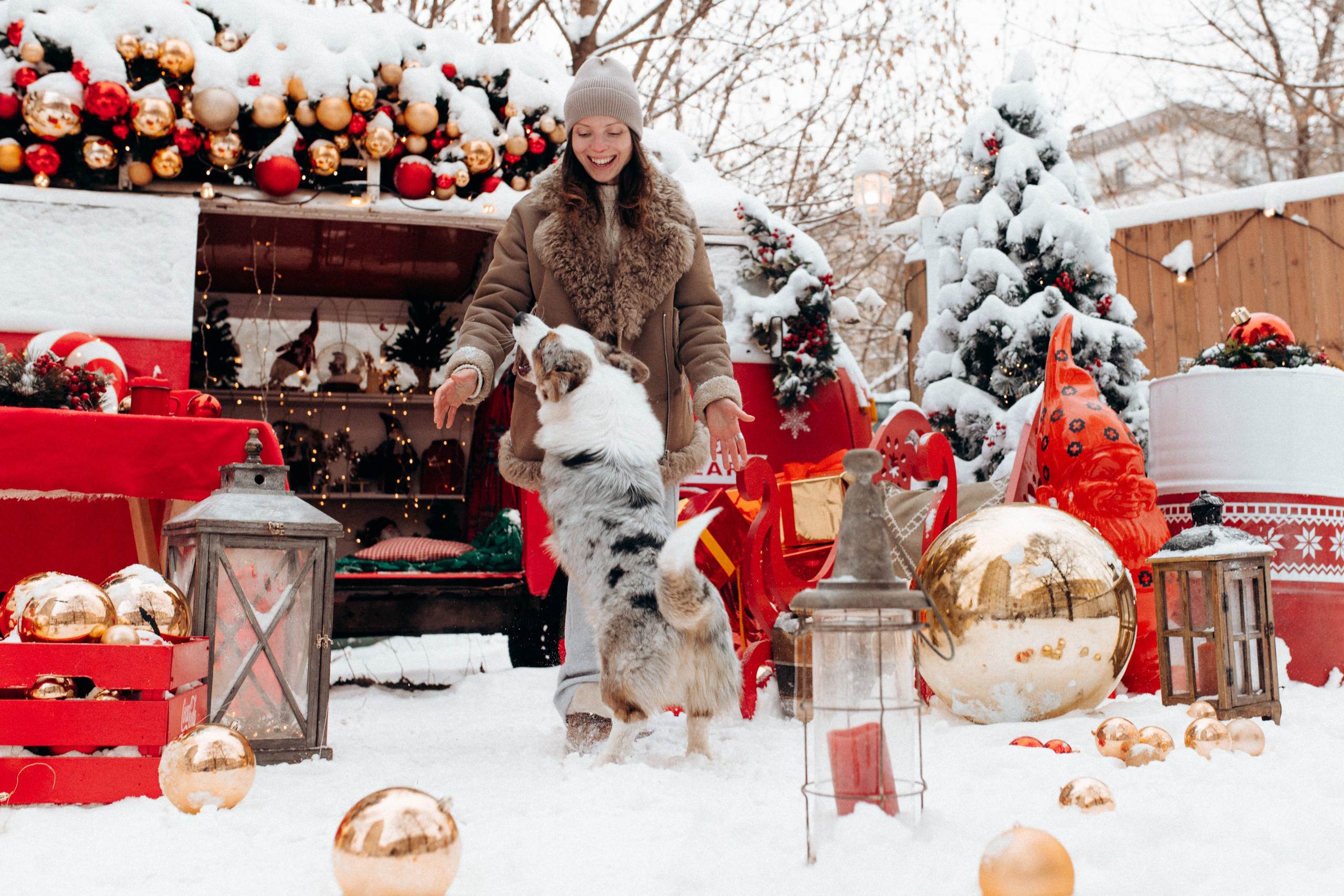 Маша и Дэф. Фотограф анималист в Москве Ольга Агушева