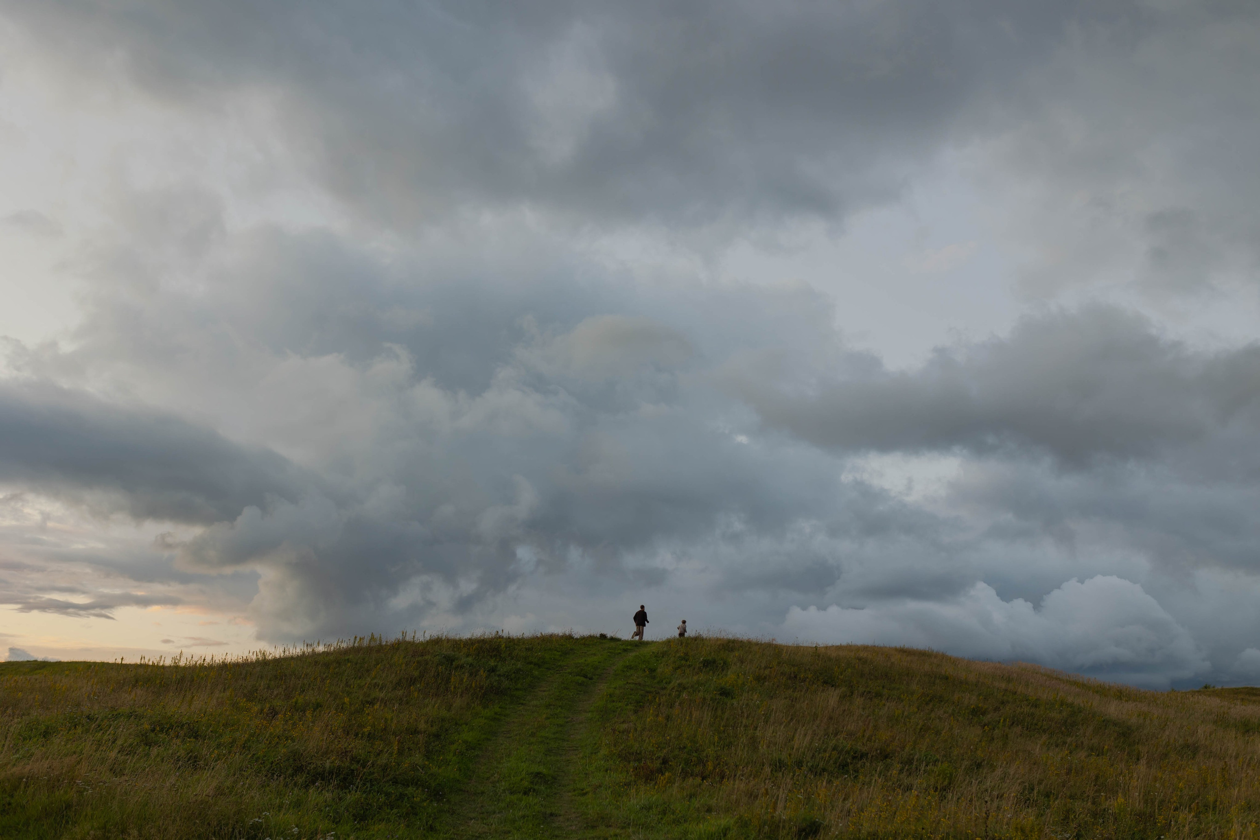 В полях. Семейный фотограф в Санкт-Петербурге Любовь Савкина