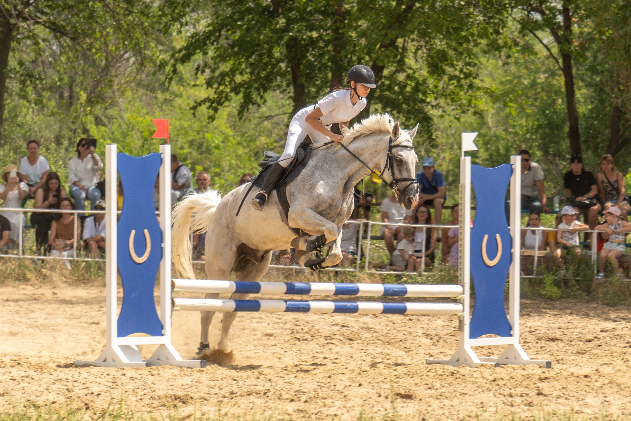 кубок дружбы регионов по конкуру в Луганске,  конные соревнования в разгаре, взятие препятствия, спорт лнр, молодежь лнр, Луганск