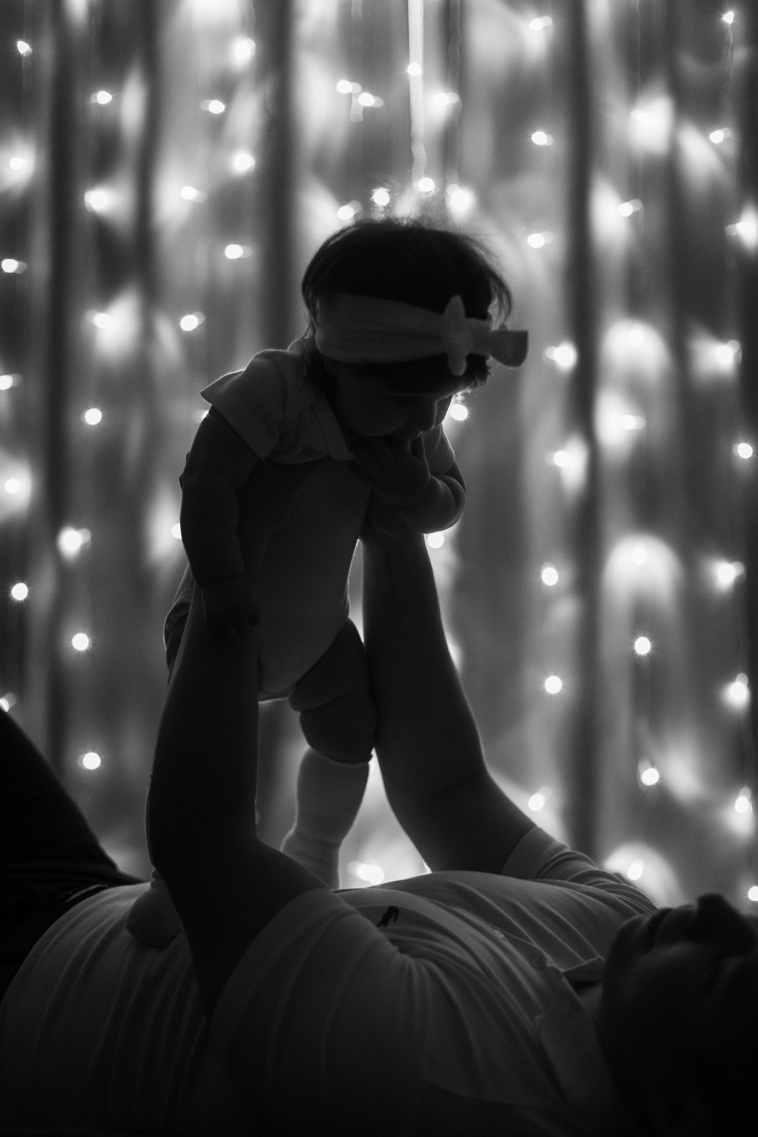 Джой и его семья. Фотограф — Анималист | Санкт-Петербург