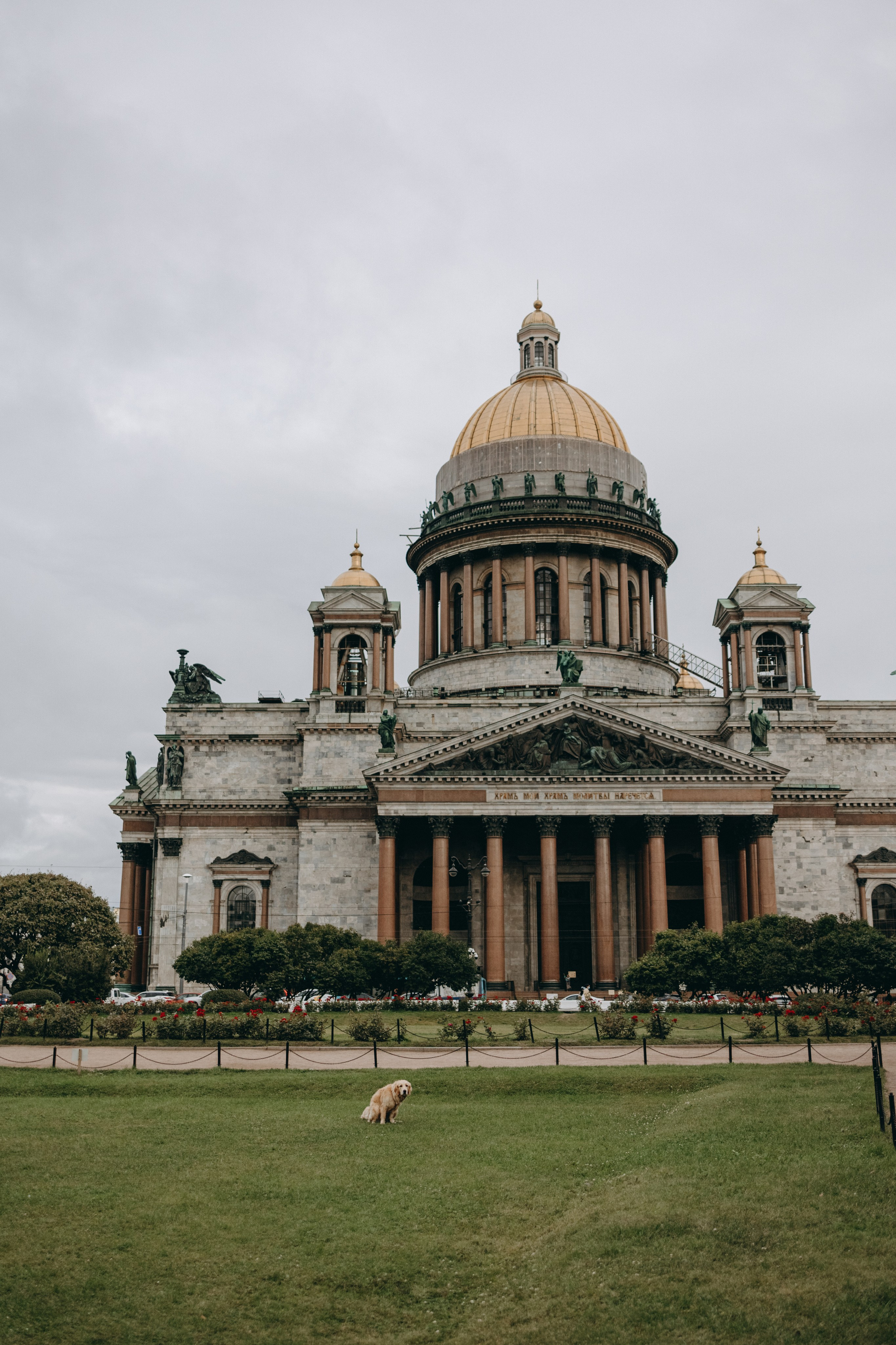 Бетти и ее семья. Фотограф — Анималист | Санкт-Петербург