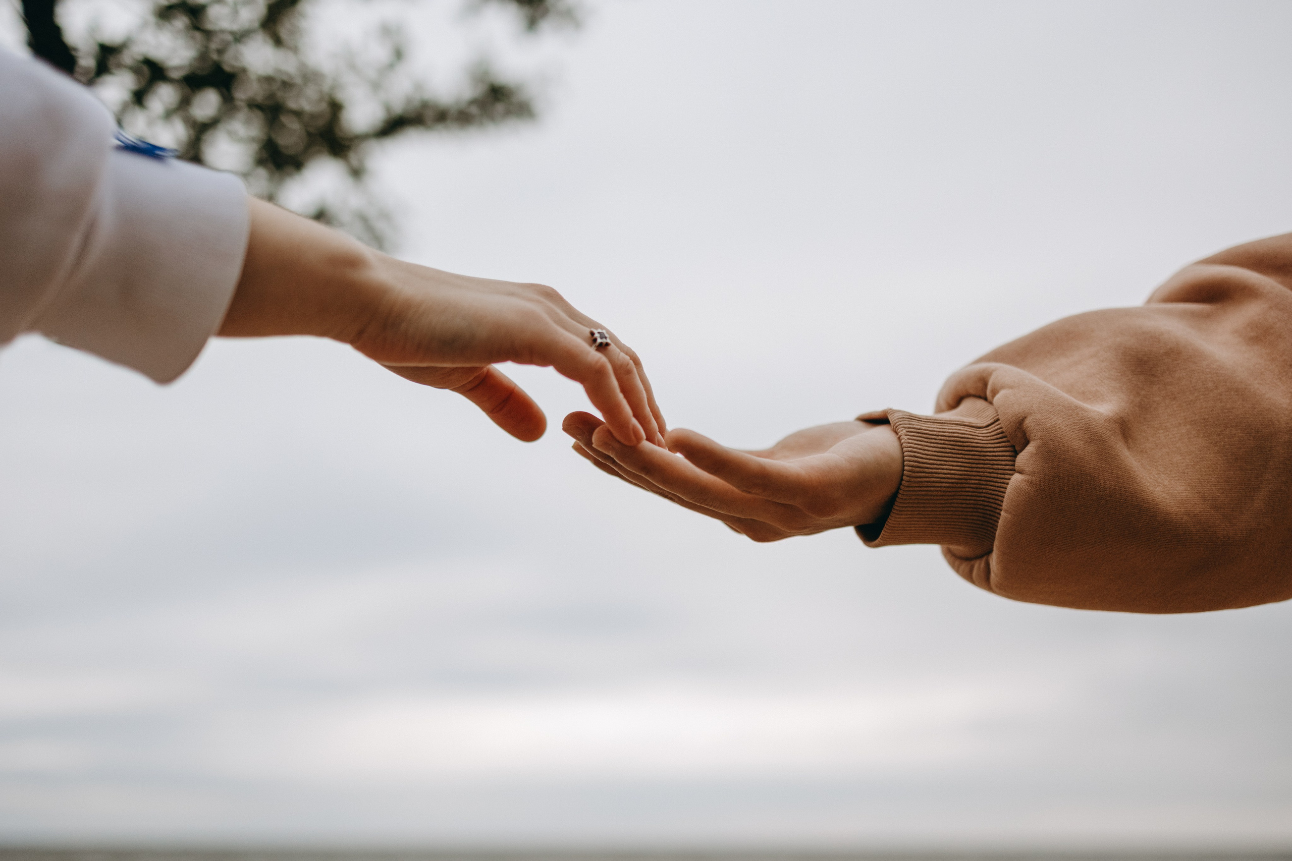 Фоси и его семьи. Фотограф — Анималист | Санкт-Петербург