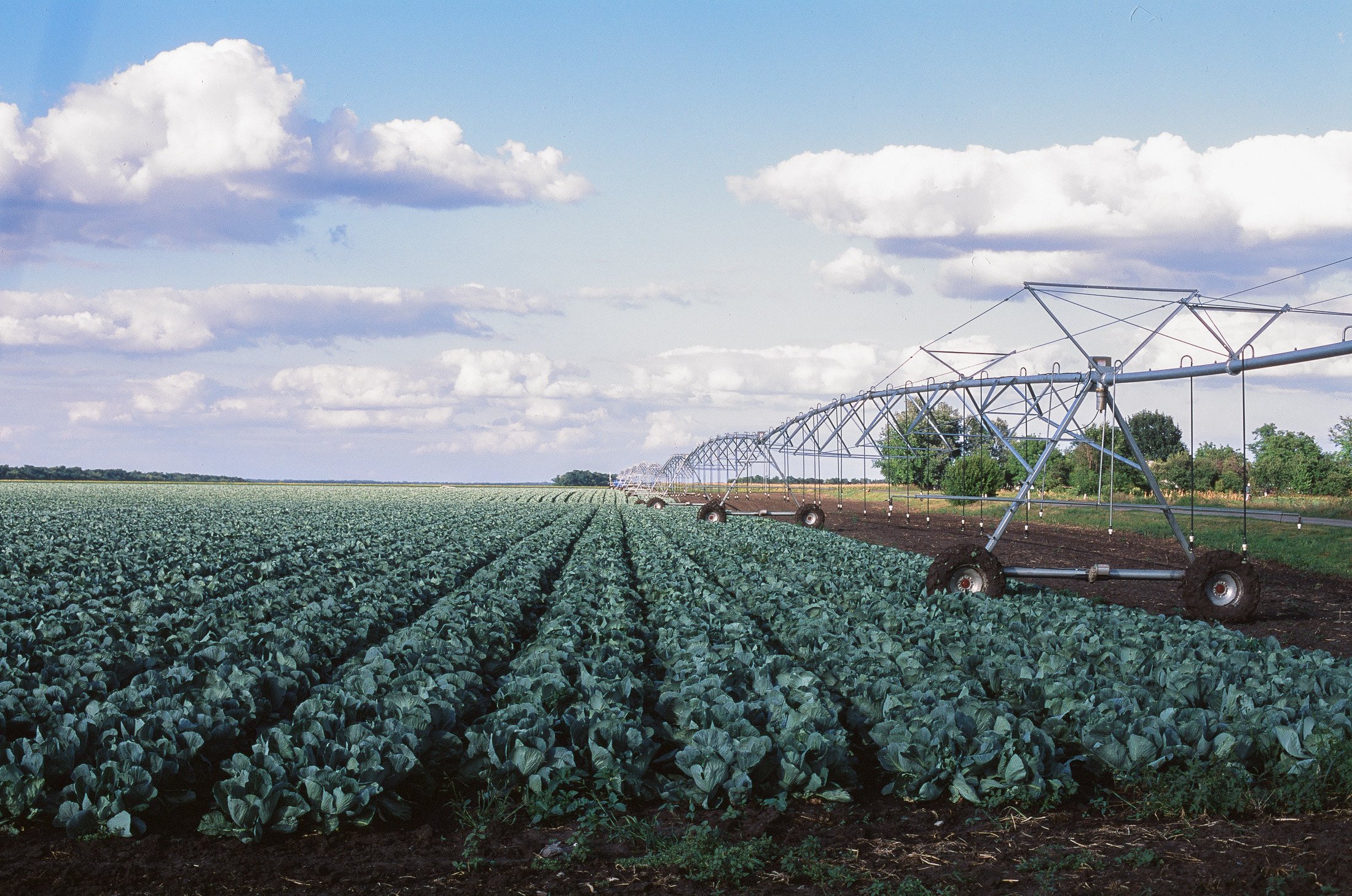 Моя мама Украина. Фотограф в Петербурге Татьяна Гуляева